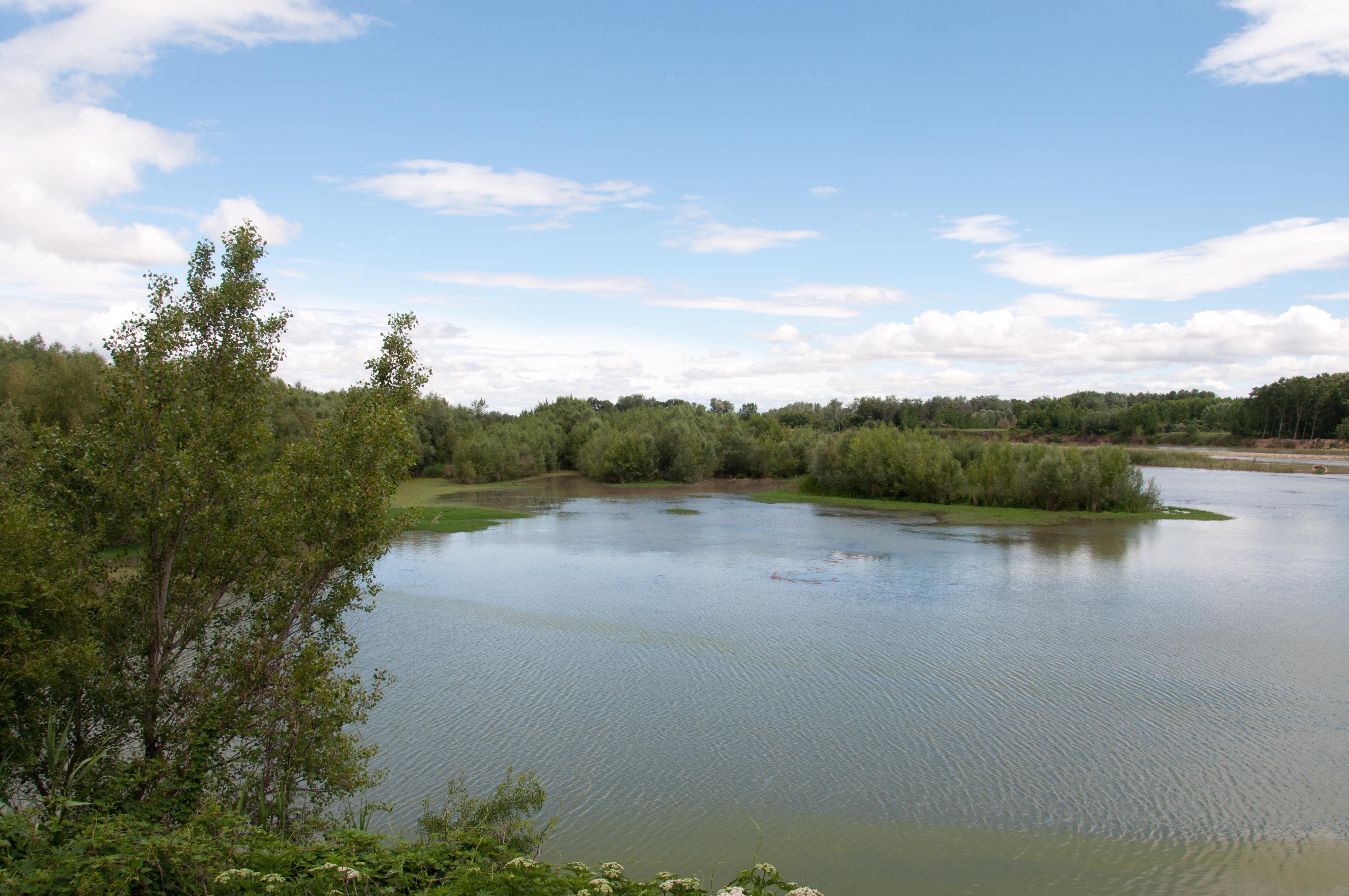 Reserva Natural Sotos del Ebro, por Pedro Jareño