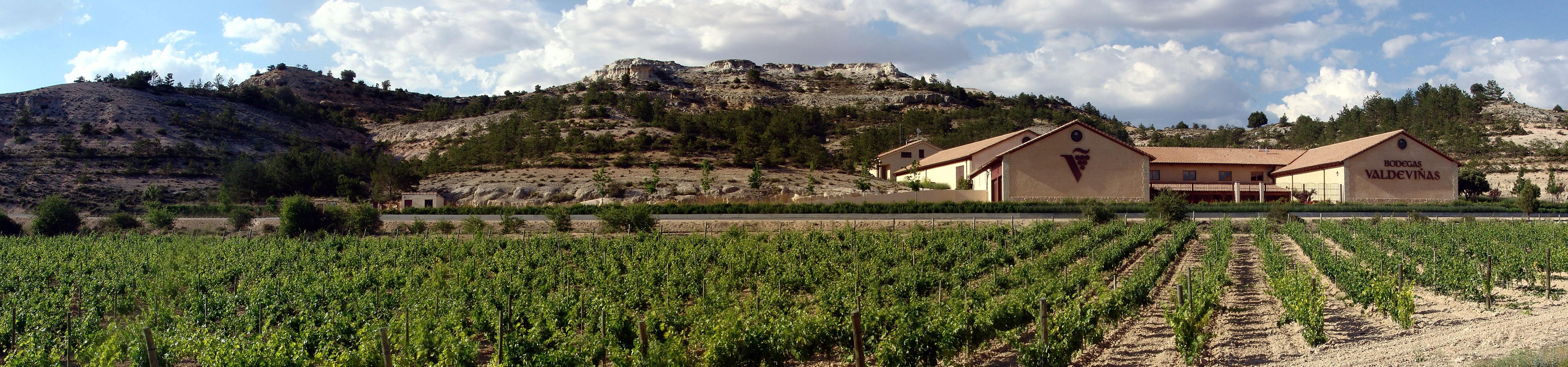 Bodegas Valdeviñas, por Ruta del Vino Ribera del Duero