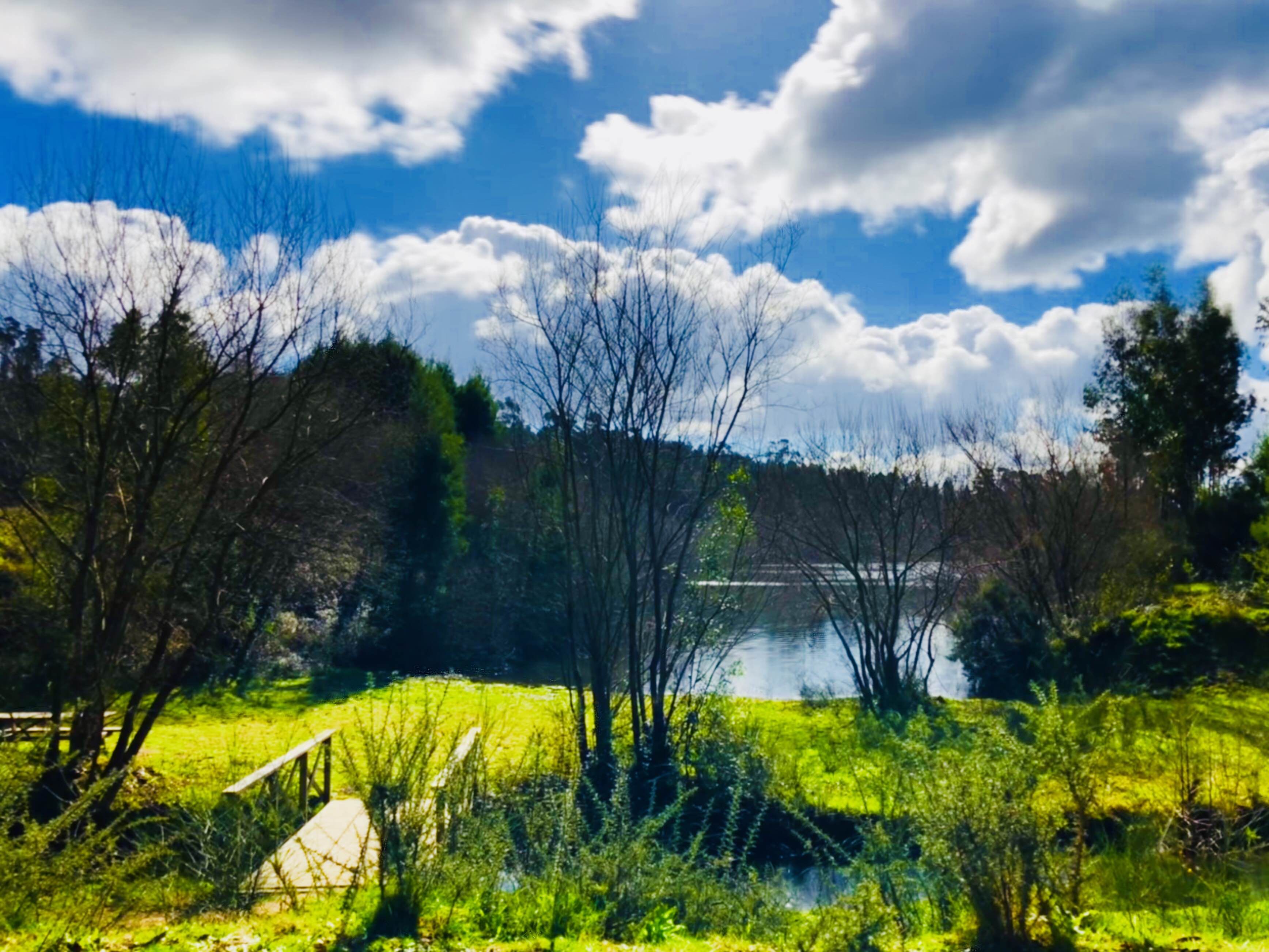 Pantanos en Pontevedra: un viaje entre naturaleza y tranquilidad