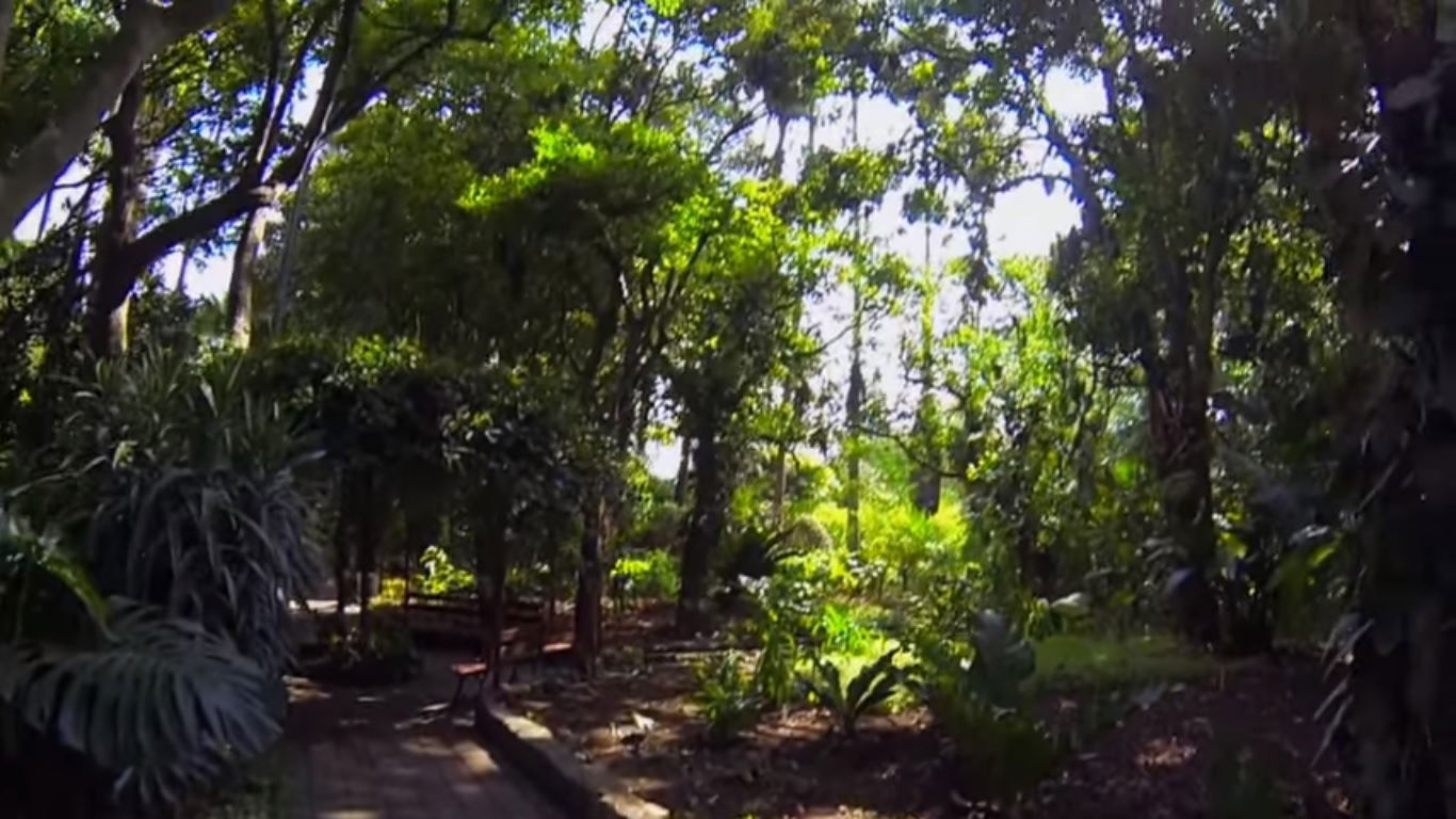 Jardín Botánico de la Universidad de San Carlos, por César - Mochilero