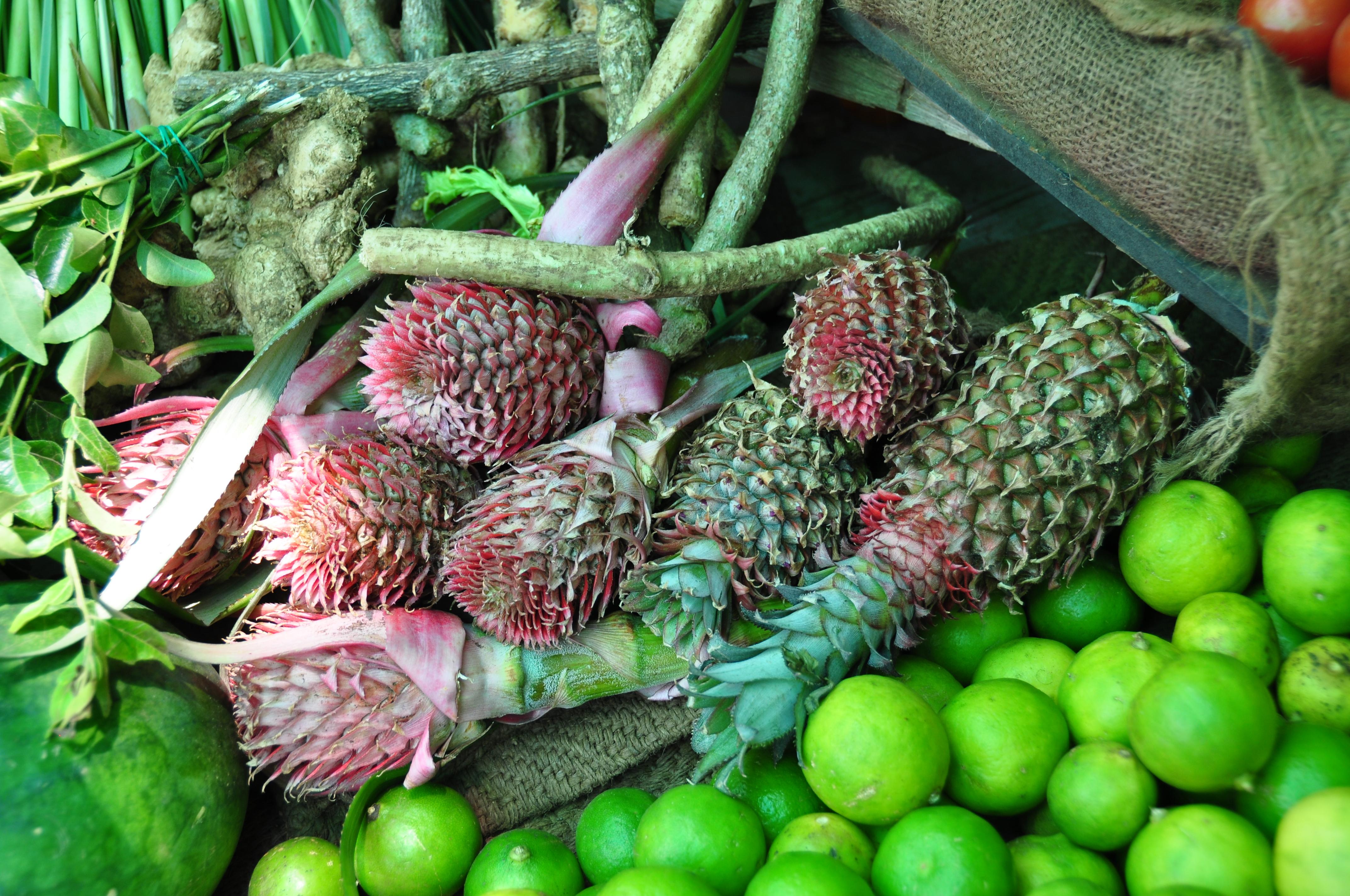 Mercados en Galla: un viaje gastronómico lleno de sabores y tradiciones