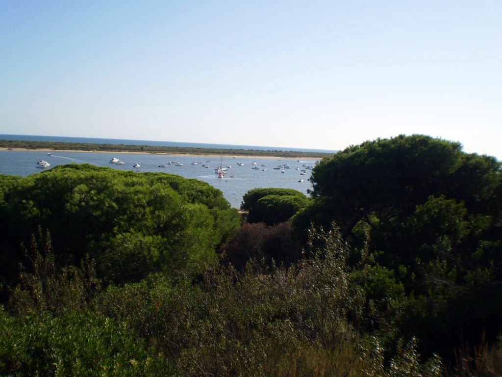 Mirador de San Miguel, por Lala