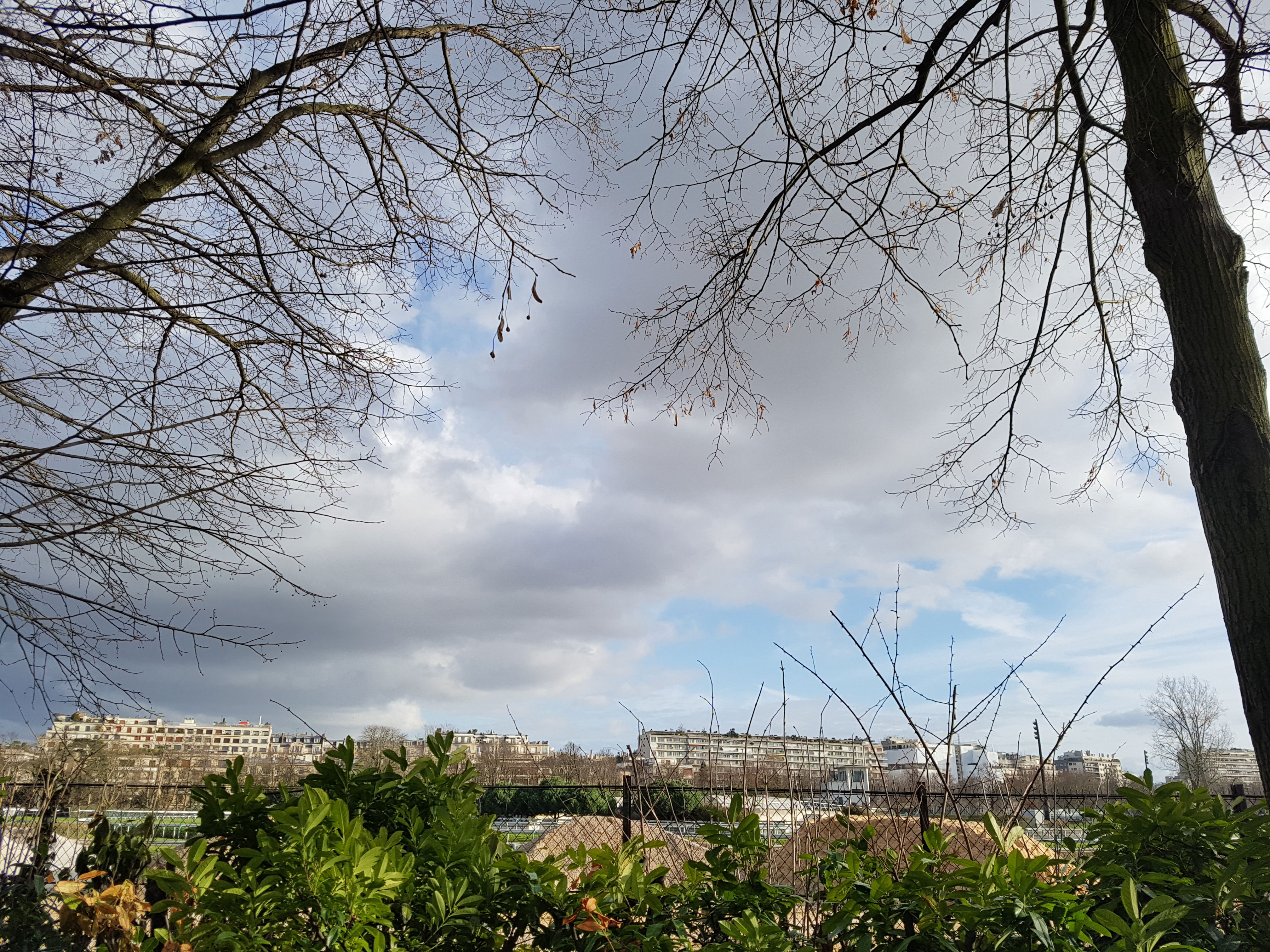 Bois de Boulogne, por Mélanie Perestrelo Defreville