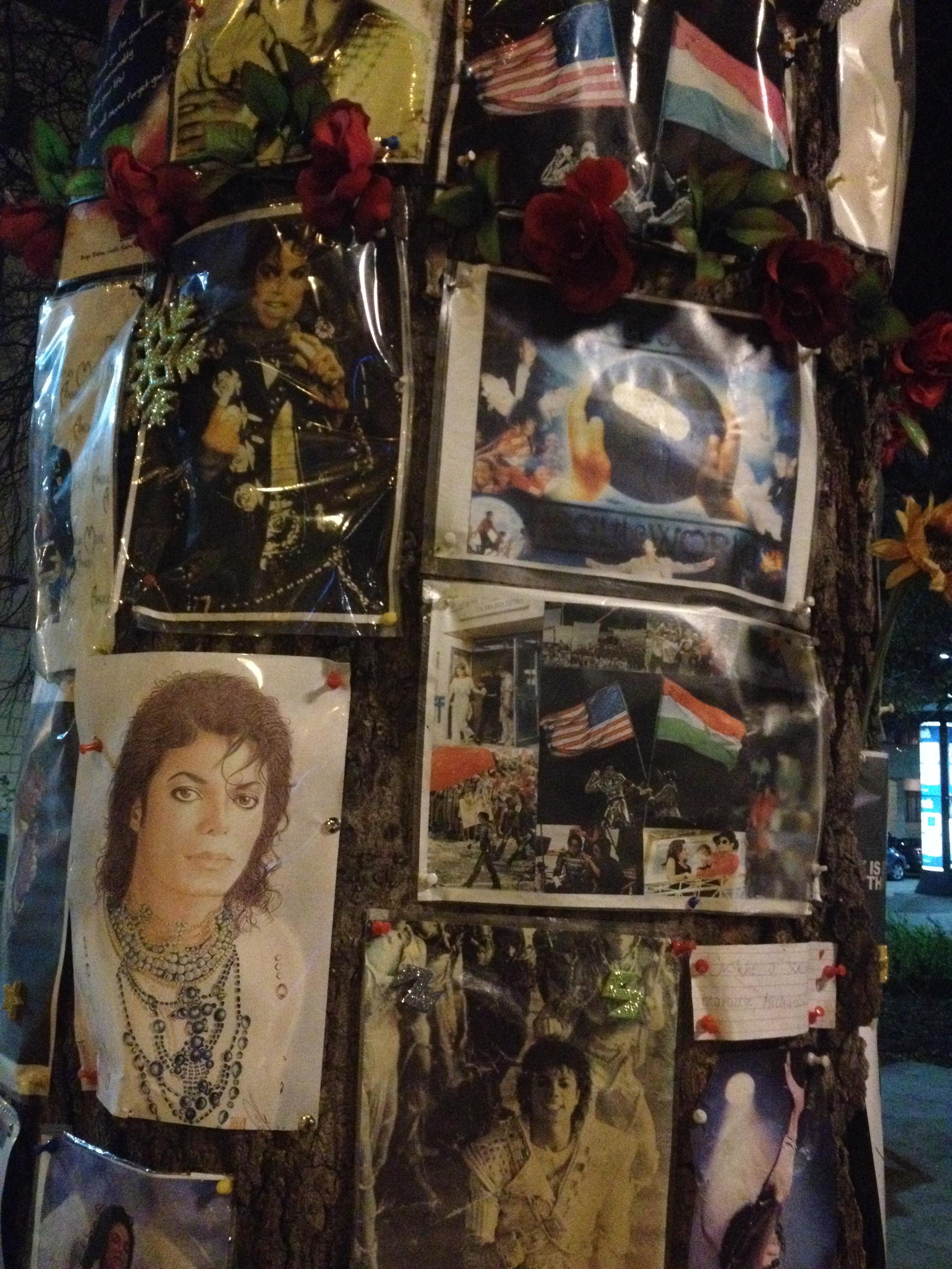 Arbol de Michael Jackson, por Daniel