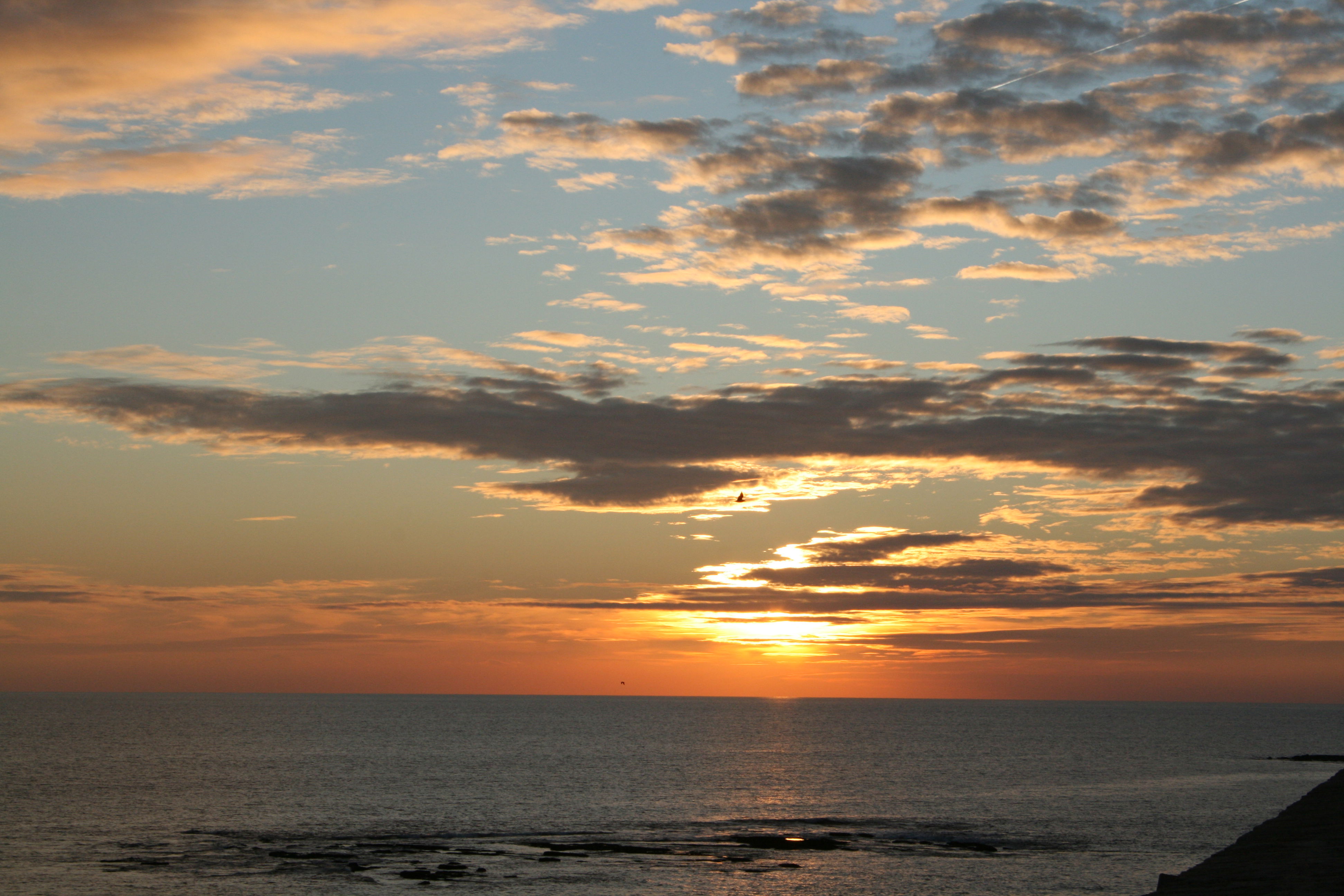 Paseo de la Playa de la Caleta, por Mª Carmen Selma Ruiz
