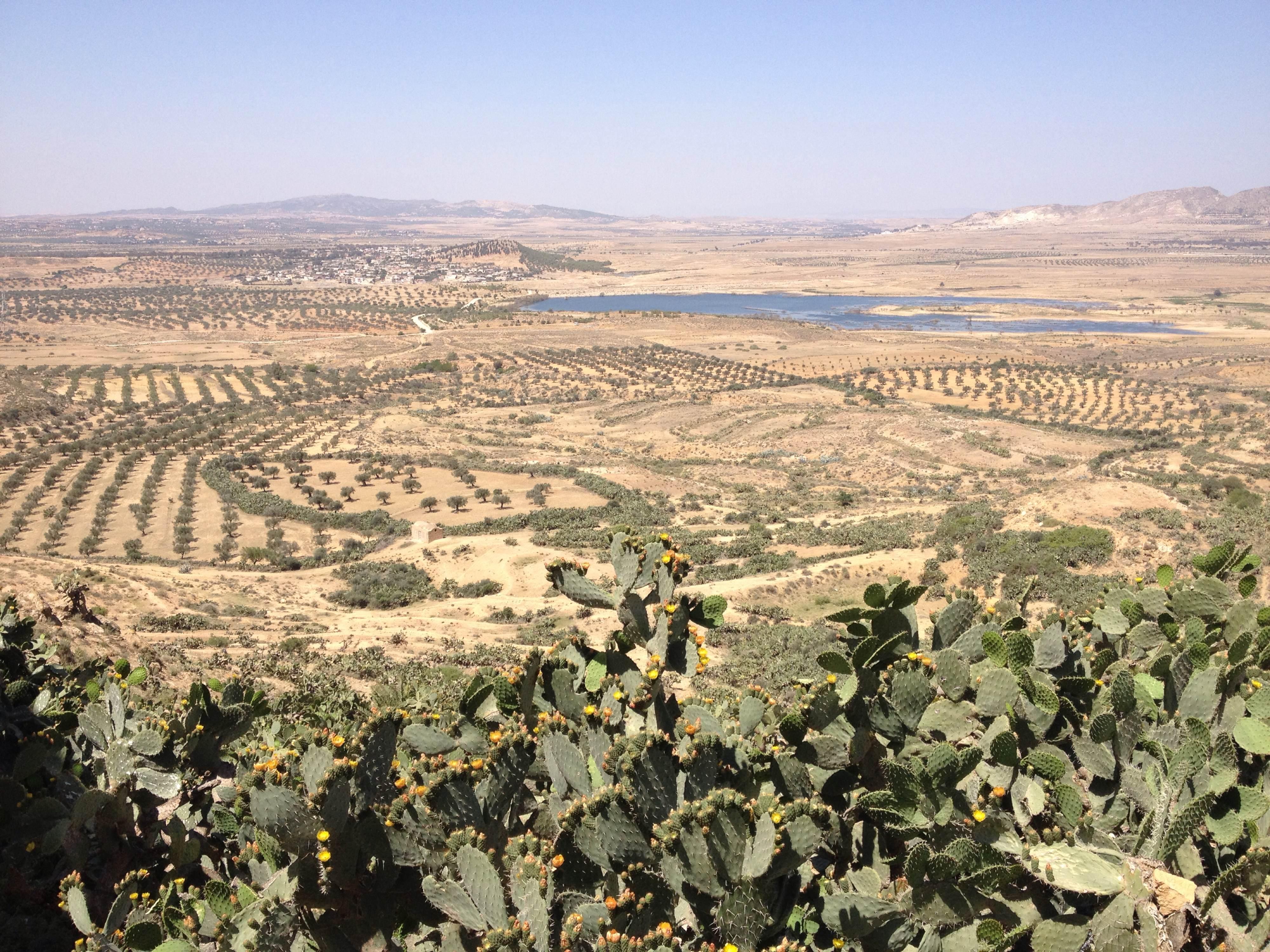 Takrouna, poblado bereber, por Juan C. Castresana
