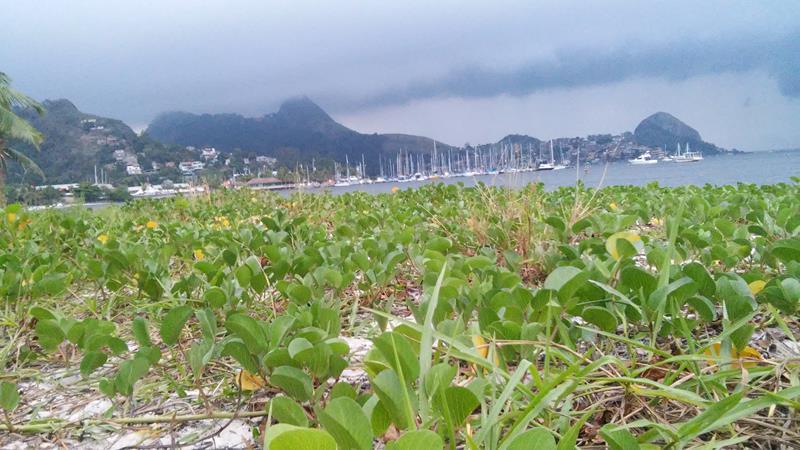 Praia de Charitas, por José Luiz Siqueira