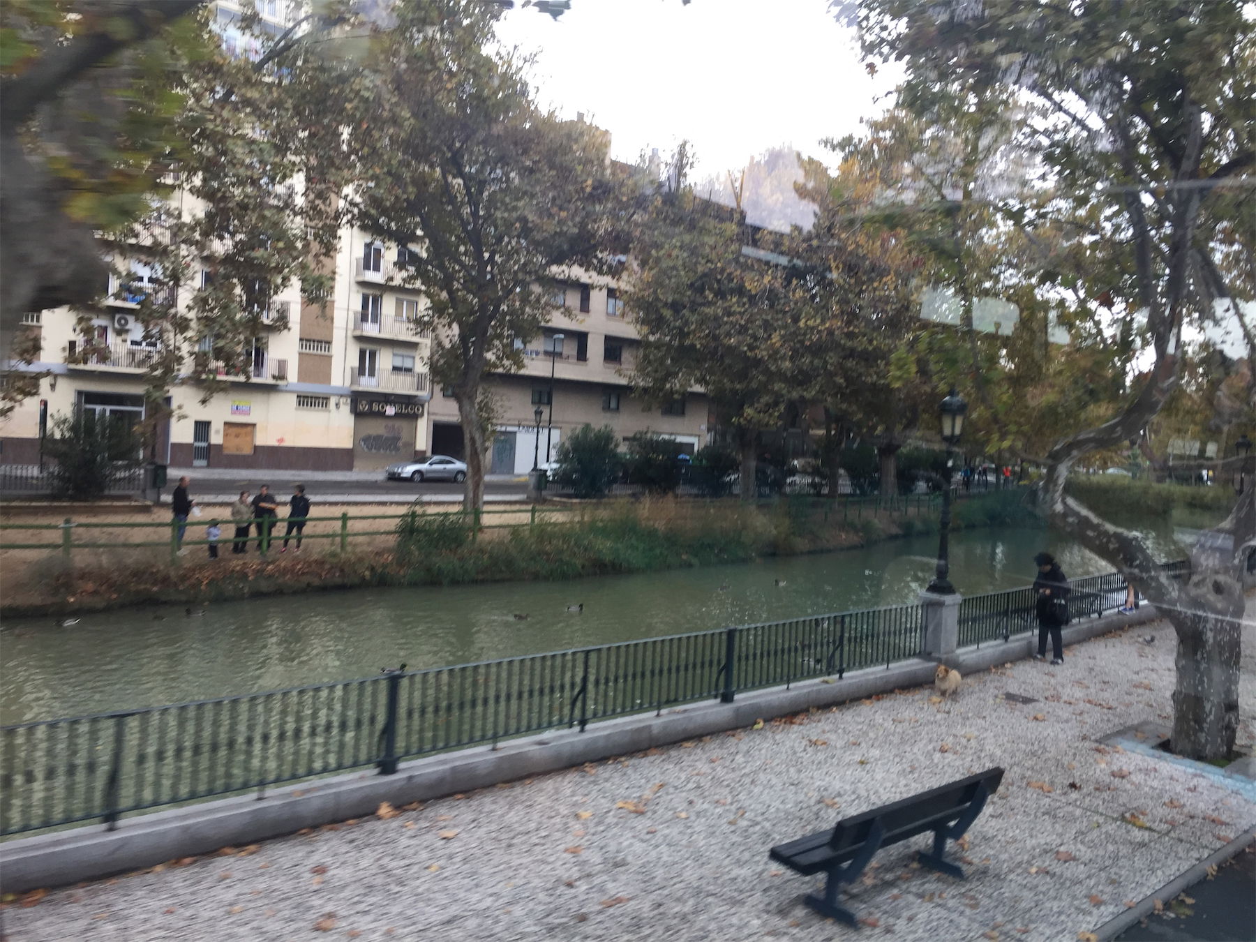 Un recorrido por la ribera del Ebro entre sotos y arboledas, por Aromas Alicantinos