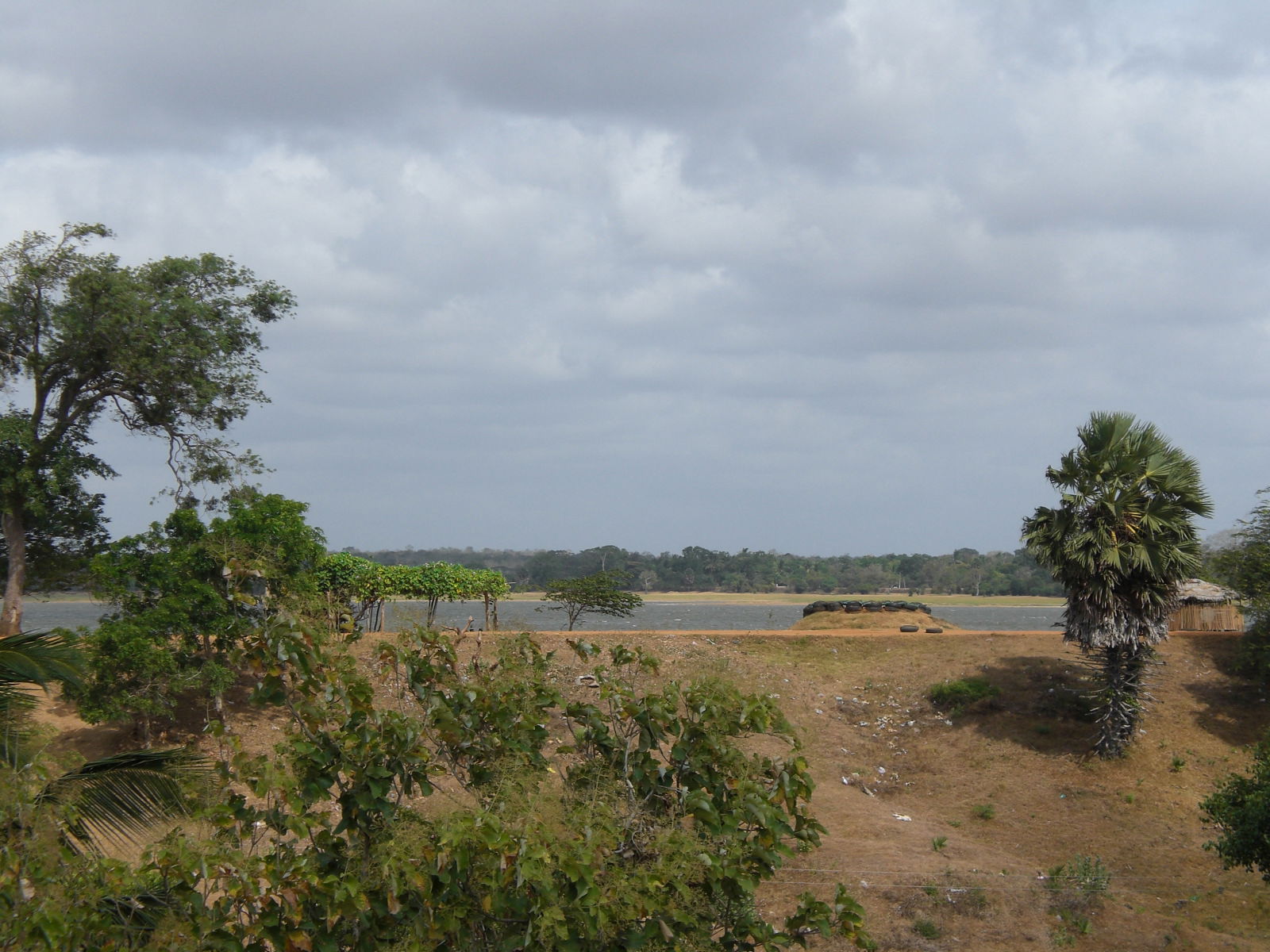 Carretera Anuradhapura - Puttalam, por paulinette