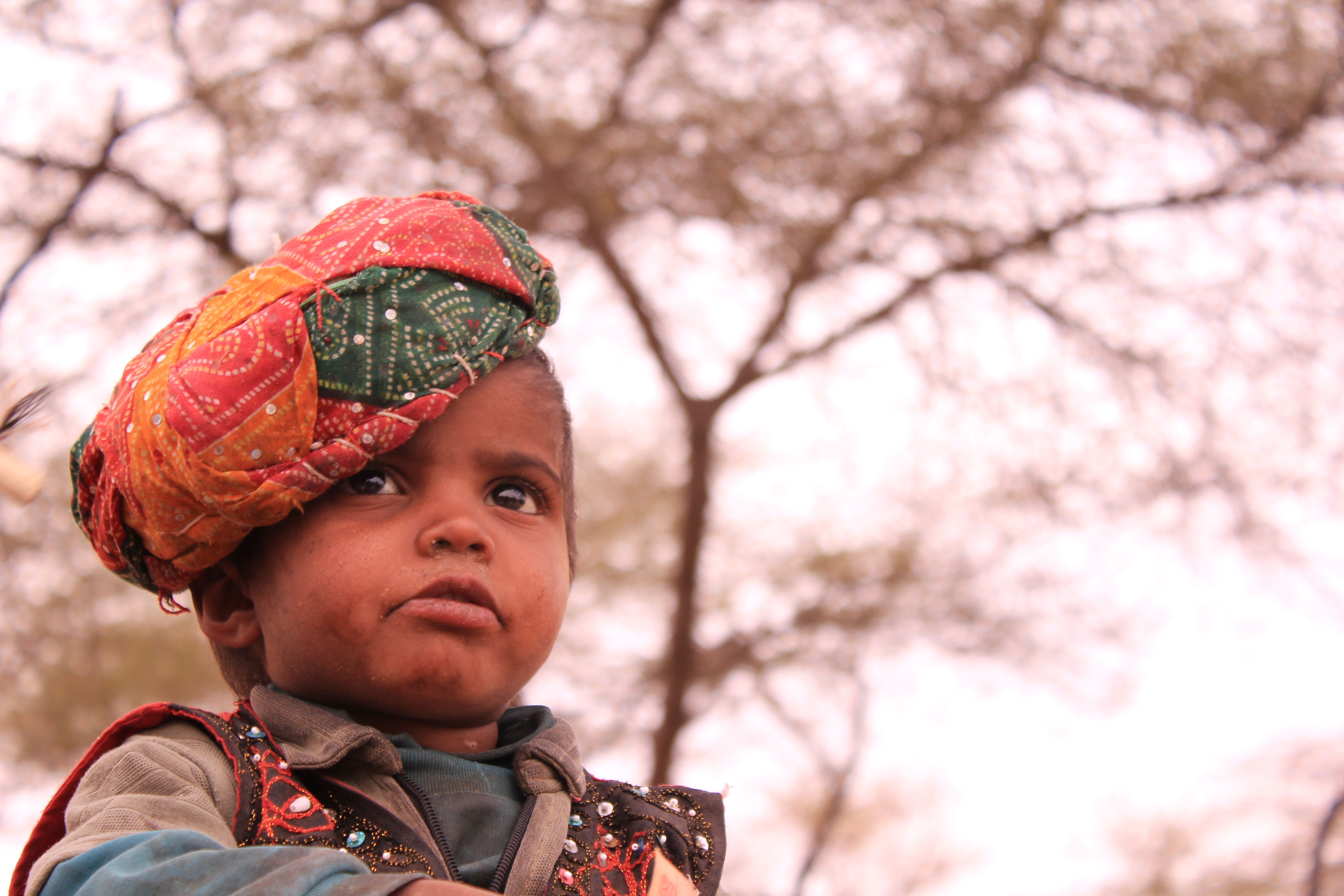 Templos en Rajasthan: un viaje espiritual entre historia y belleza