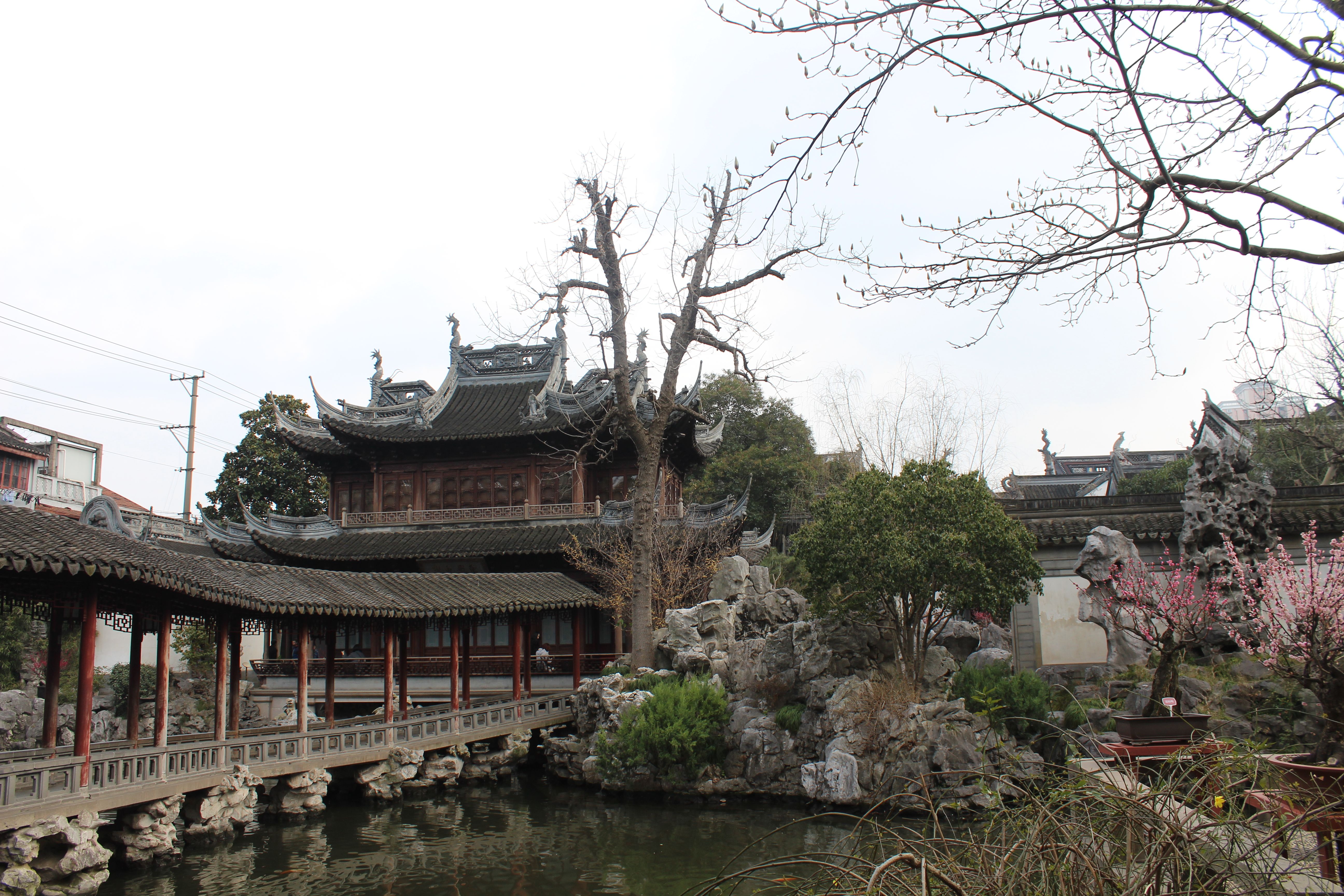 Jardines en Shanghai que te transportarán a la paz y la belleza