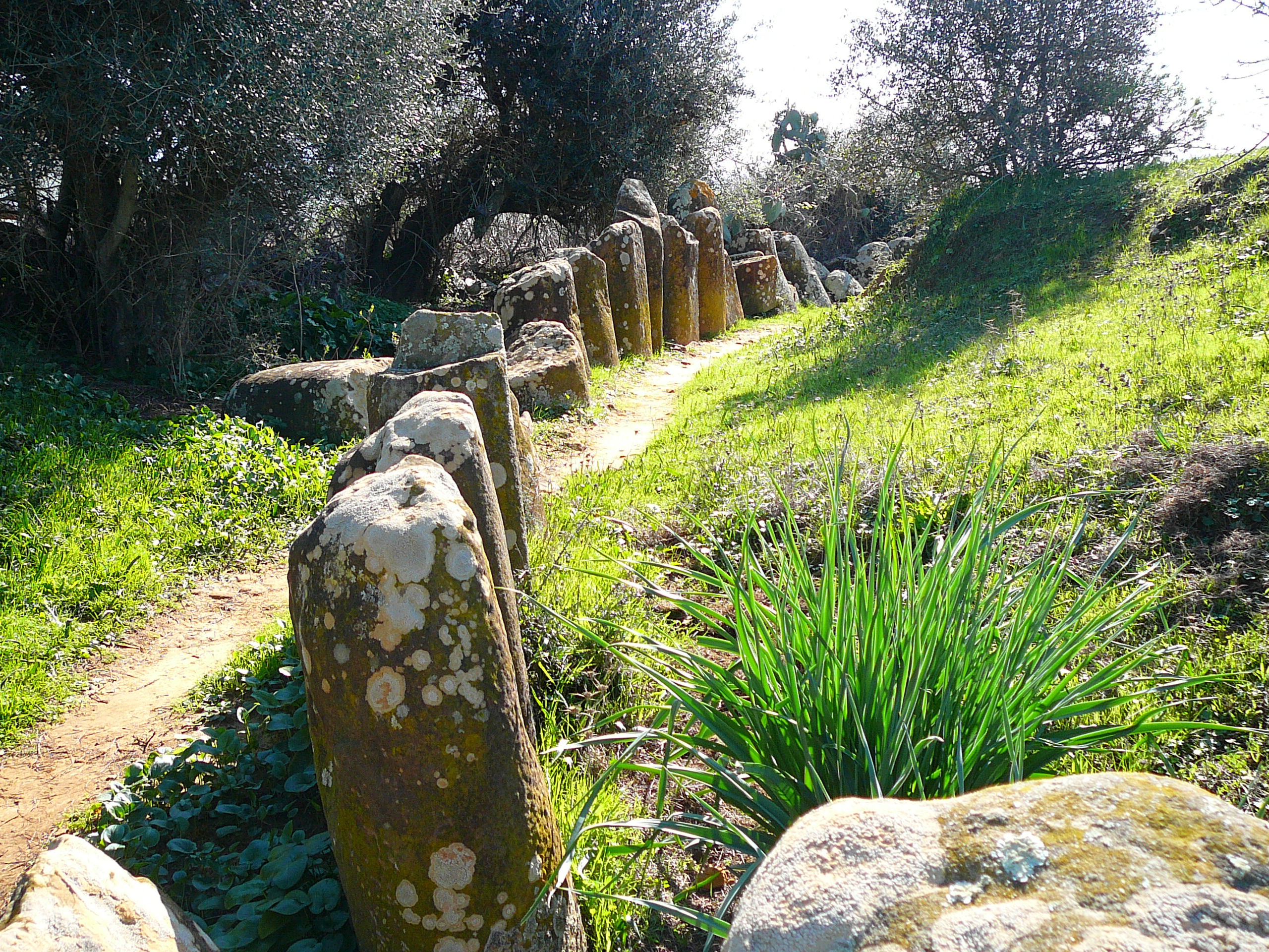 Cromlech M'zoura, por Miguel Asilah