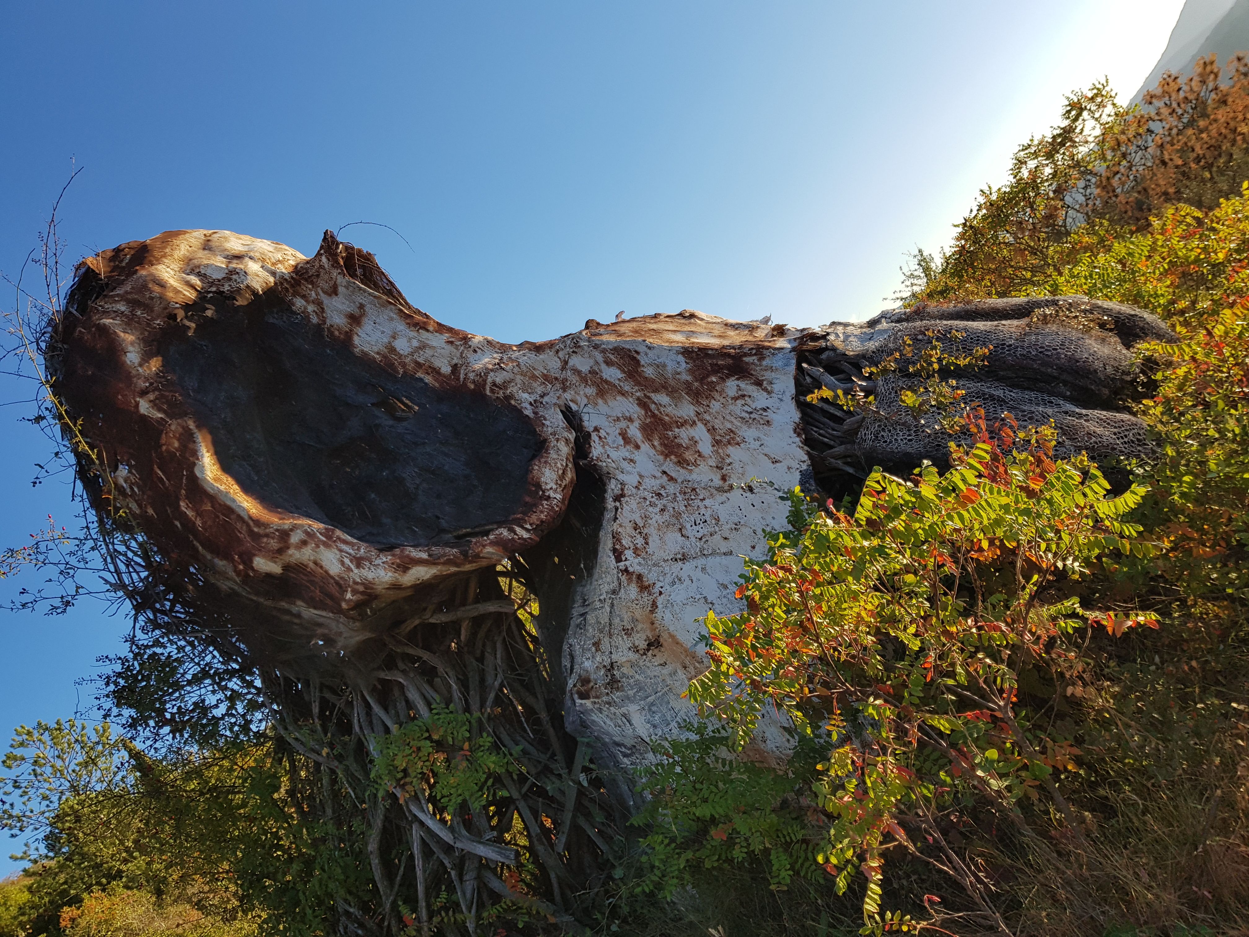 Aire libre en Estella: descubre rincones naturales y aventuras únicas