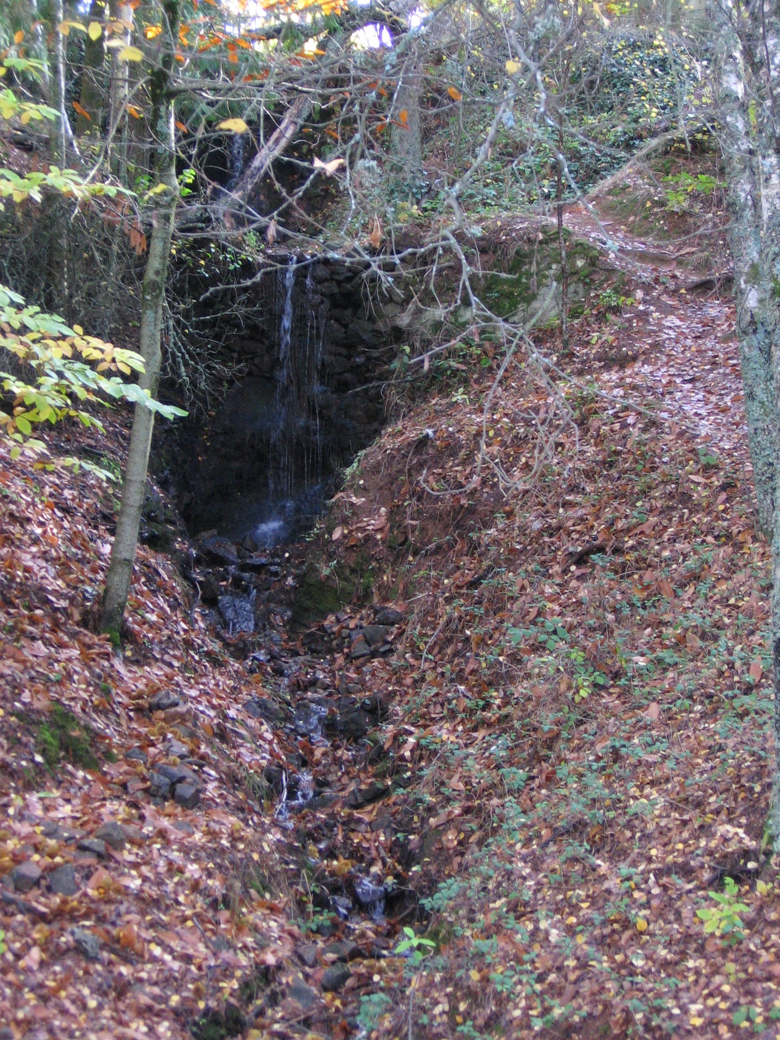 Parque forestal de Monte Mario, por macugh