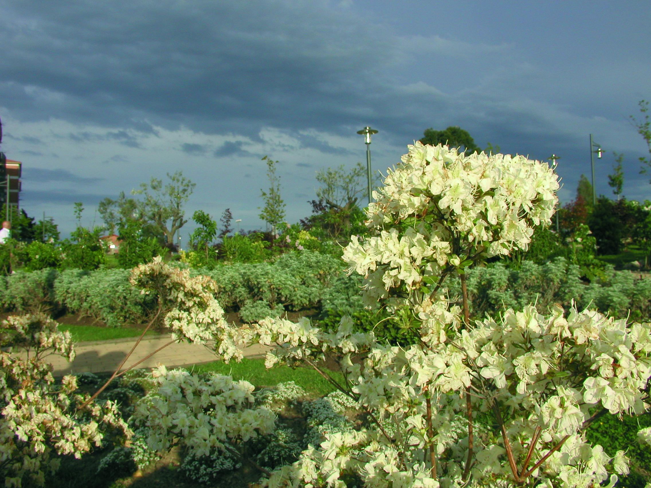 Jardín botánico Ramón Rubial, por eljosca arrauka