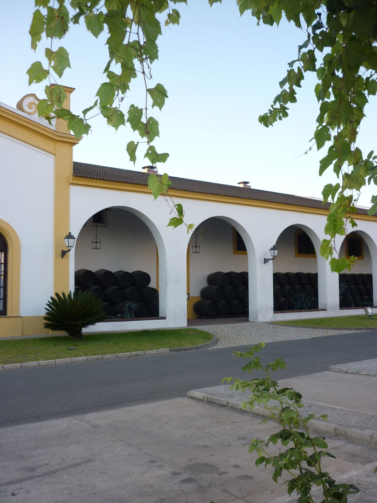 Bodegas Y Yeguadas Real Tesoro, por WillyFog