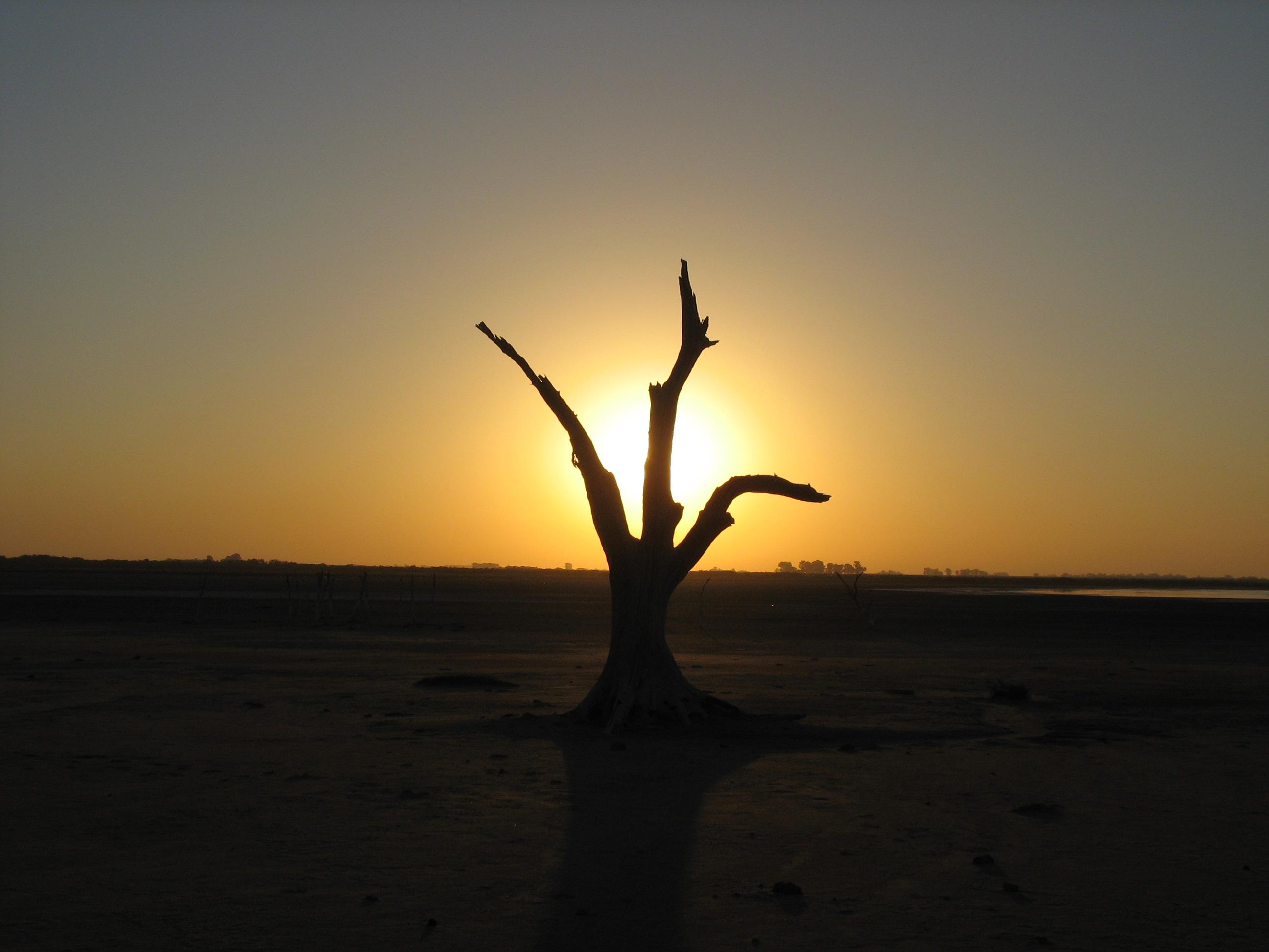 Laguna Mar Chiquita, por Marta De Lio