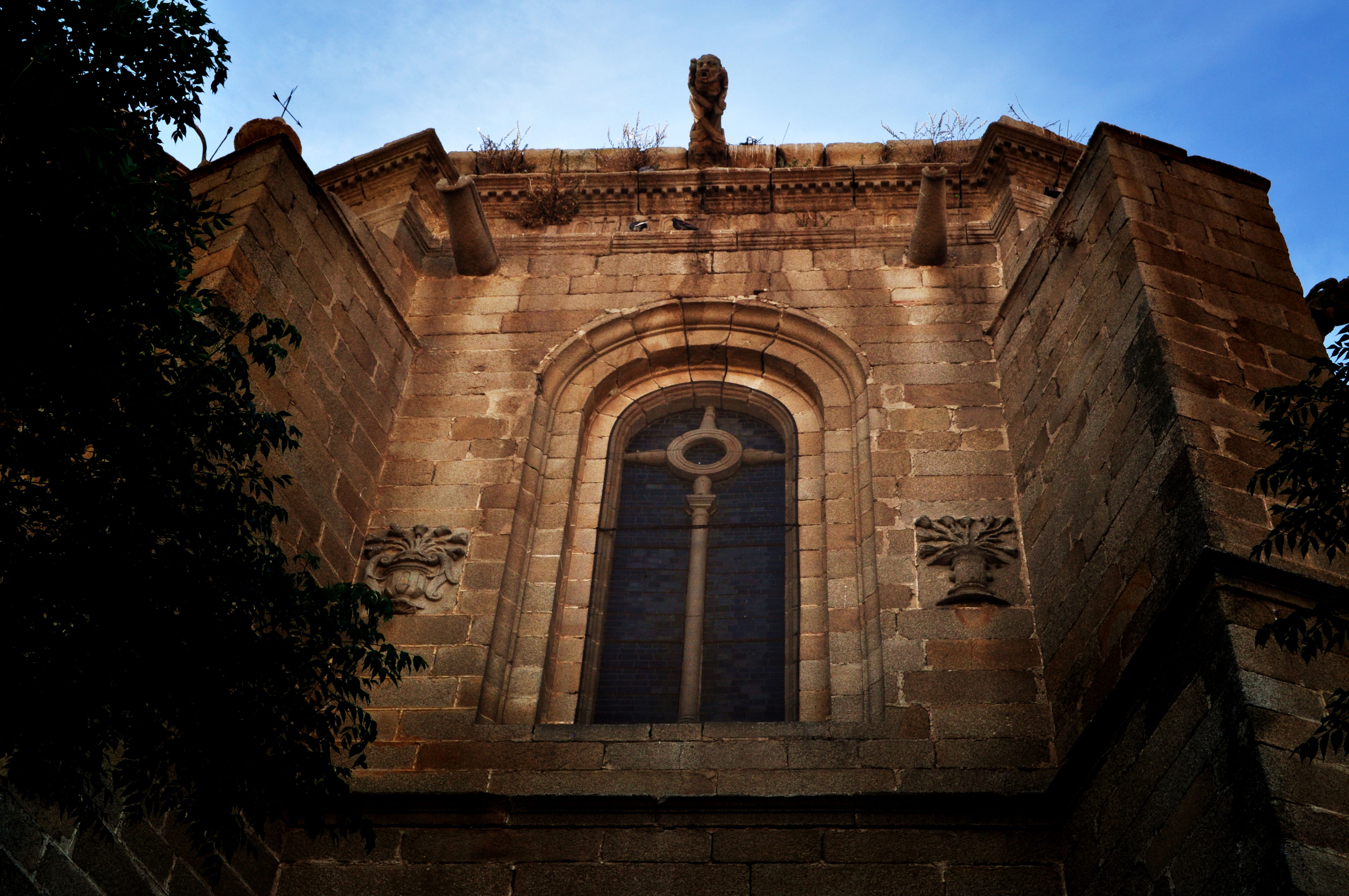 Nuestra Señora de la Asunción, por miguel a. cartagena