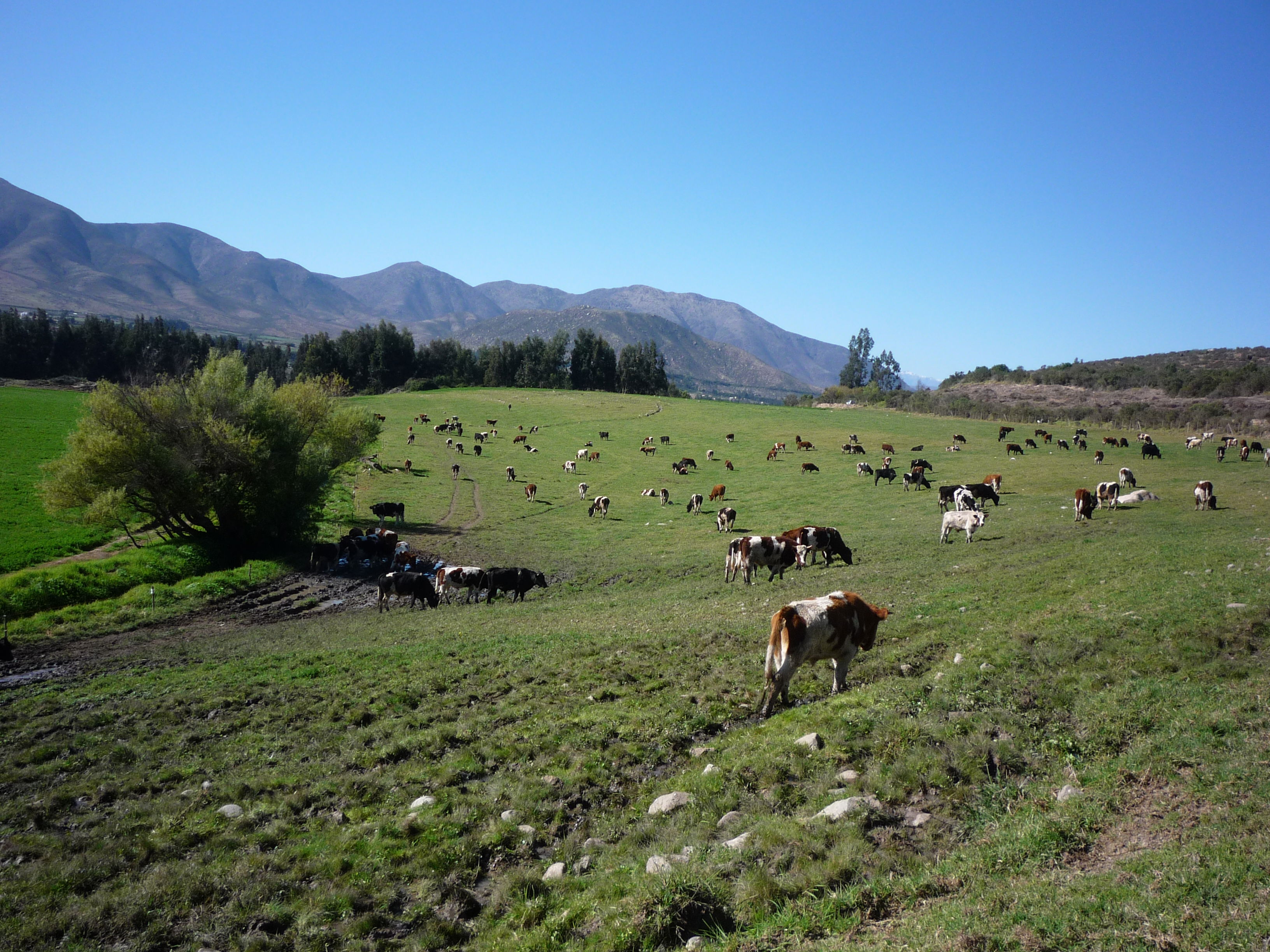 Pueblos de La Serena, por Dinorah Fuentes Astudillo
