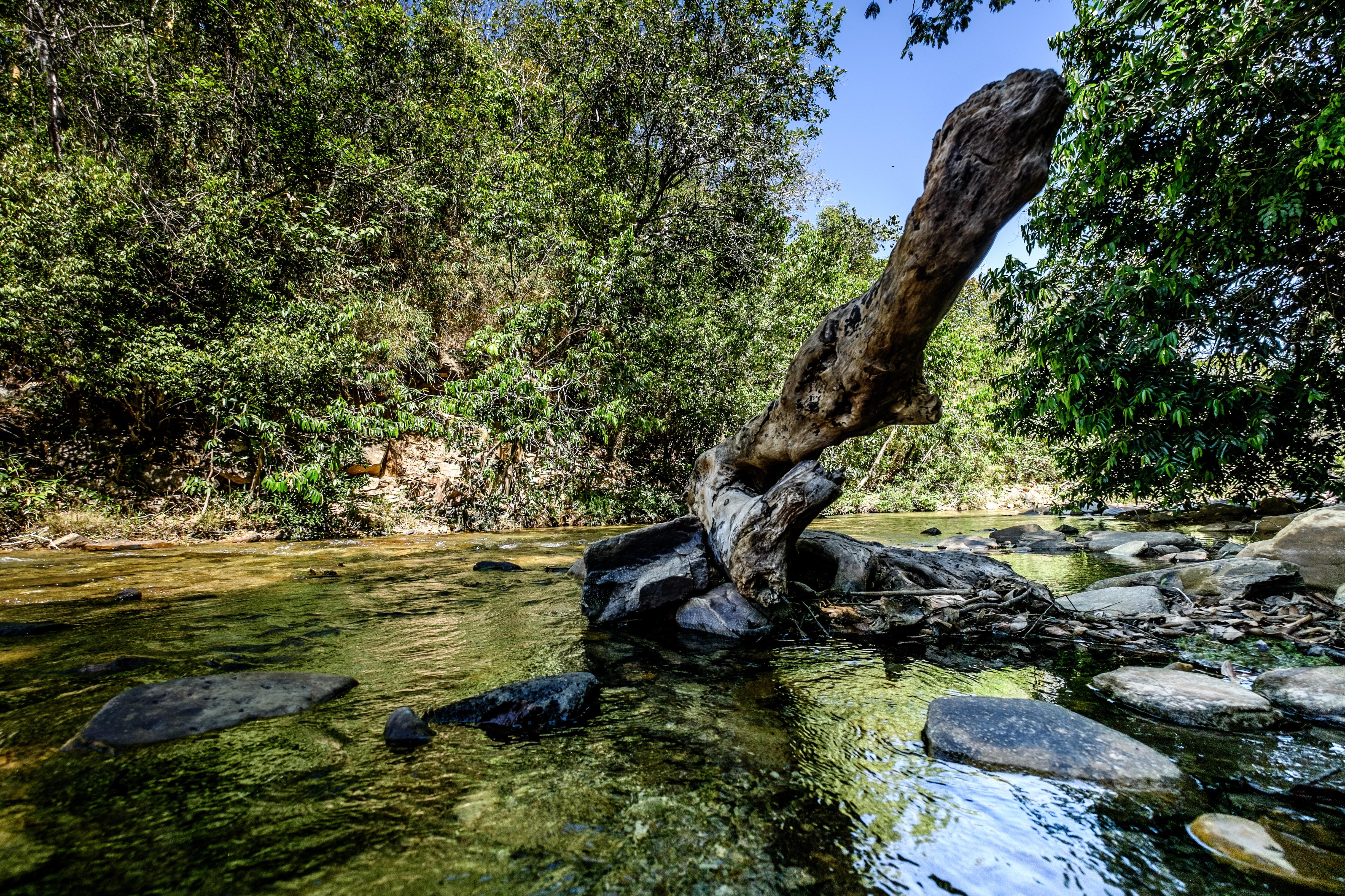 Pirenópolis, por Lucas Katayama