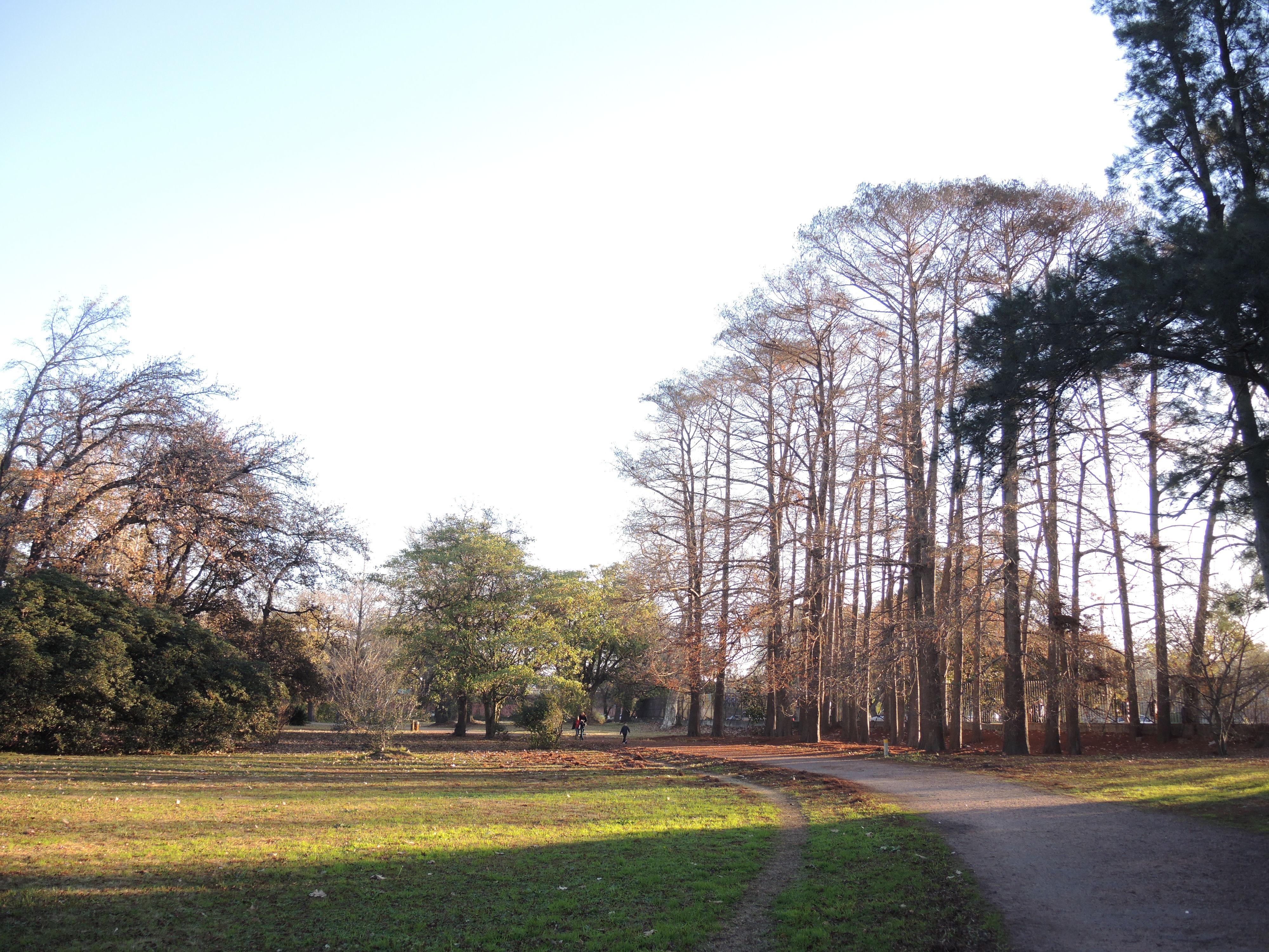 Parque El Prado, por Adriana Arias Simonovis