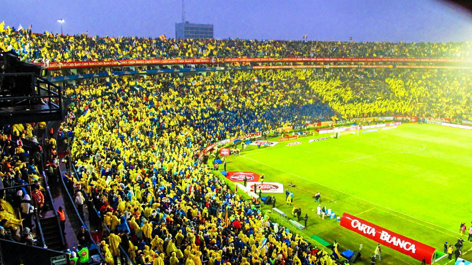 Estadio Universitario Tigres UANL, por Diana Patricia Montemayor Flores