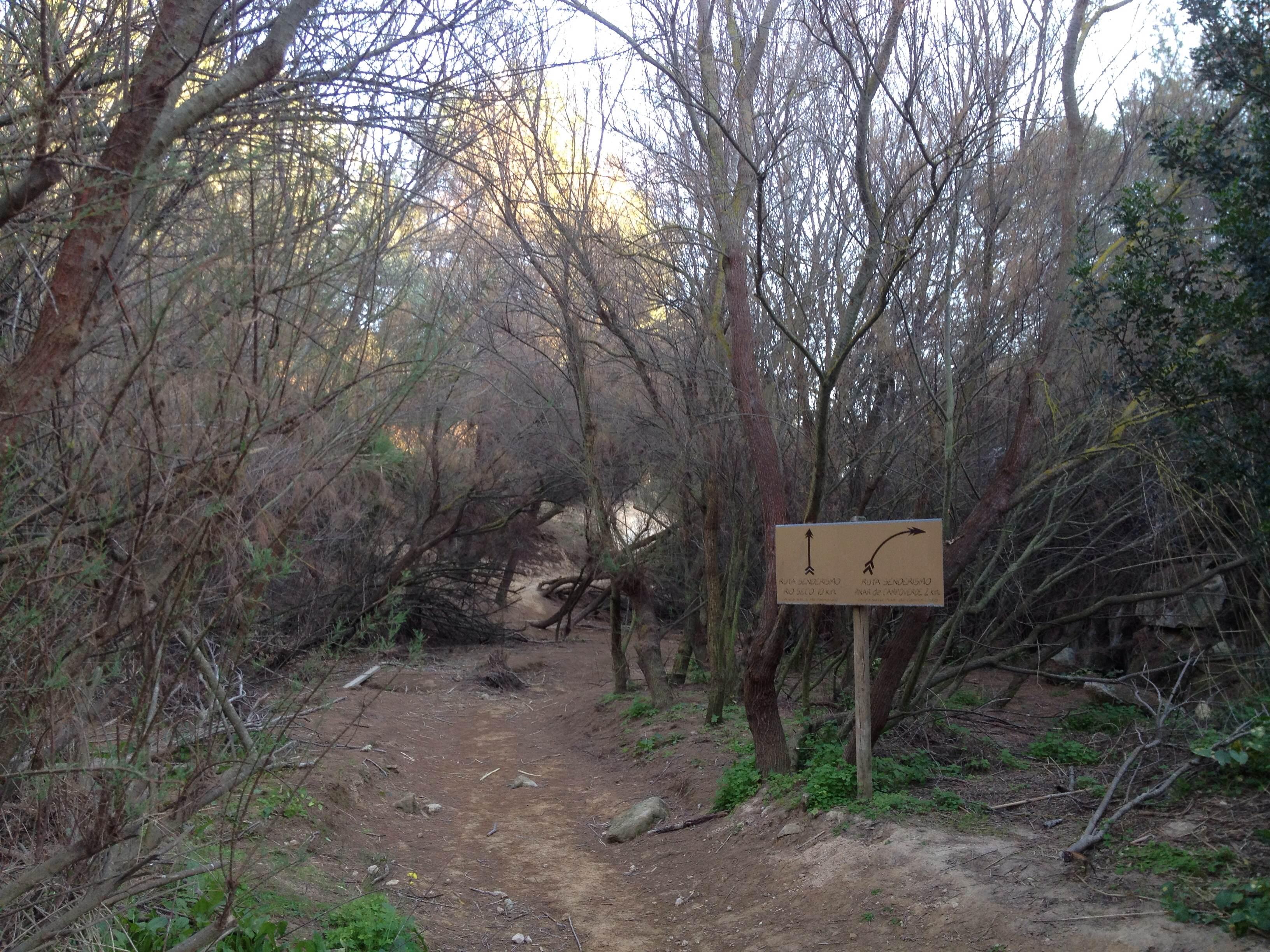 Área Natural Pinar de Campoverde, por Visit Pilar de la Horadada