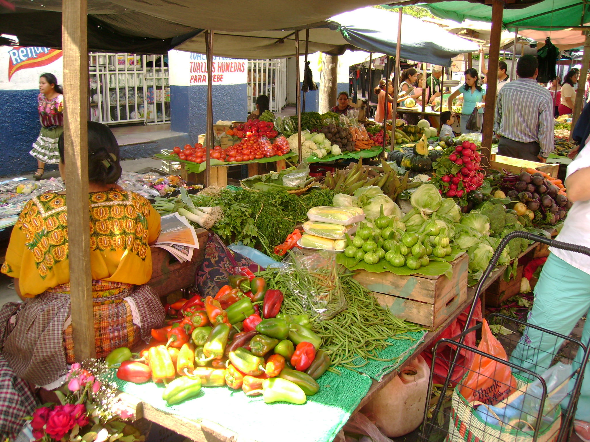 Mercado Central, por Pastor Roberto Arias Fernandez
