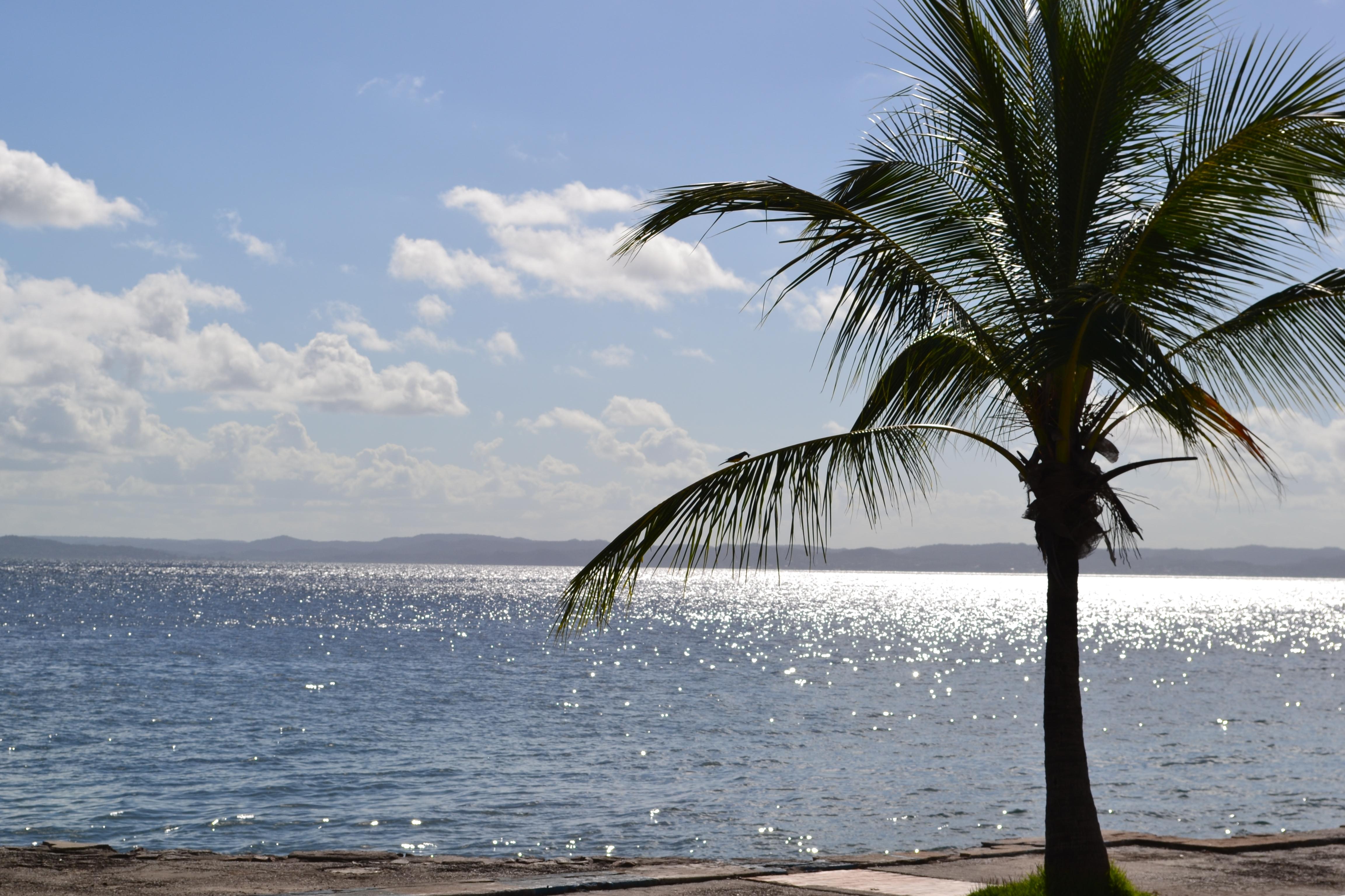 Ilha de Itaparica, por Luiz Fernando F. da Costa