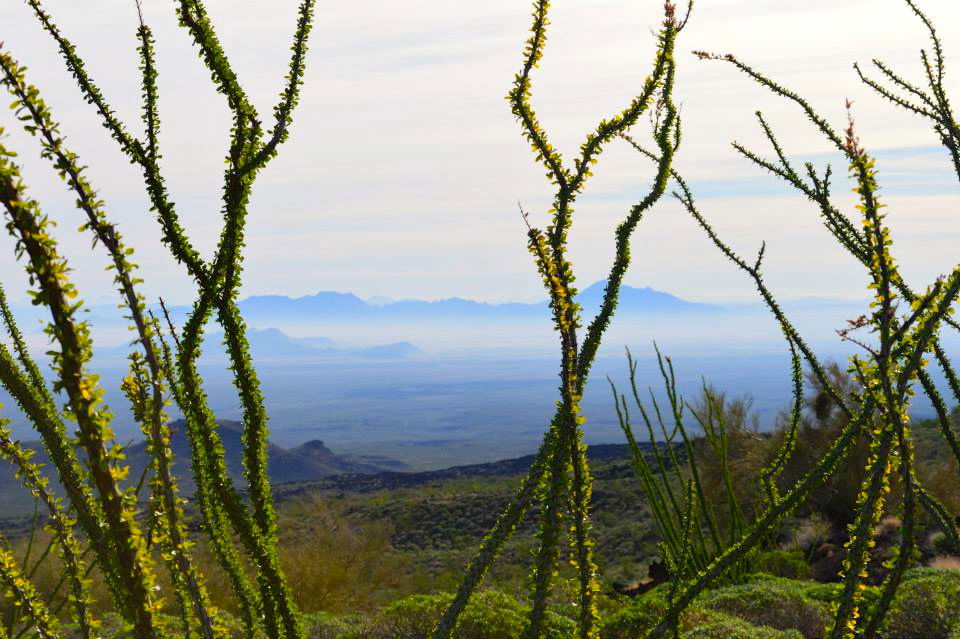 El Pinacate (Gran Desierto de Altar), por Diana Patricia Montemayor Flores