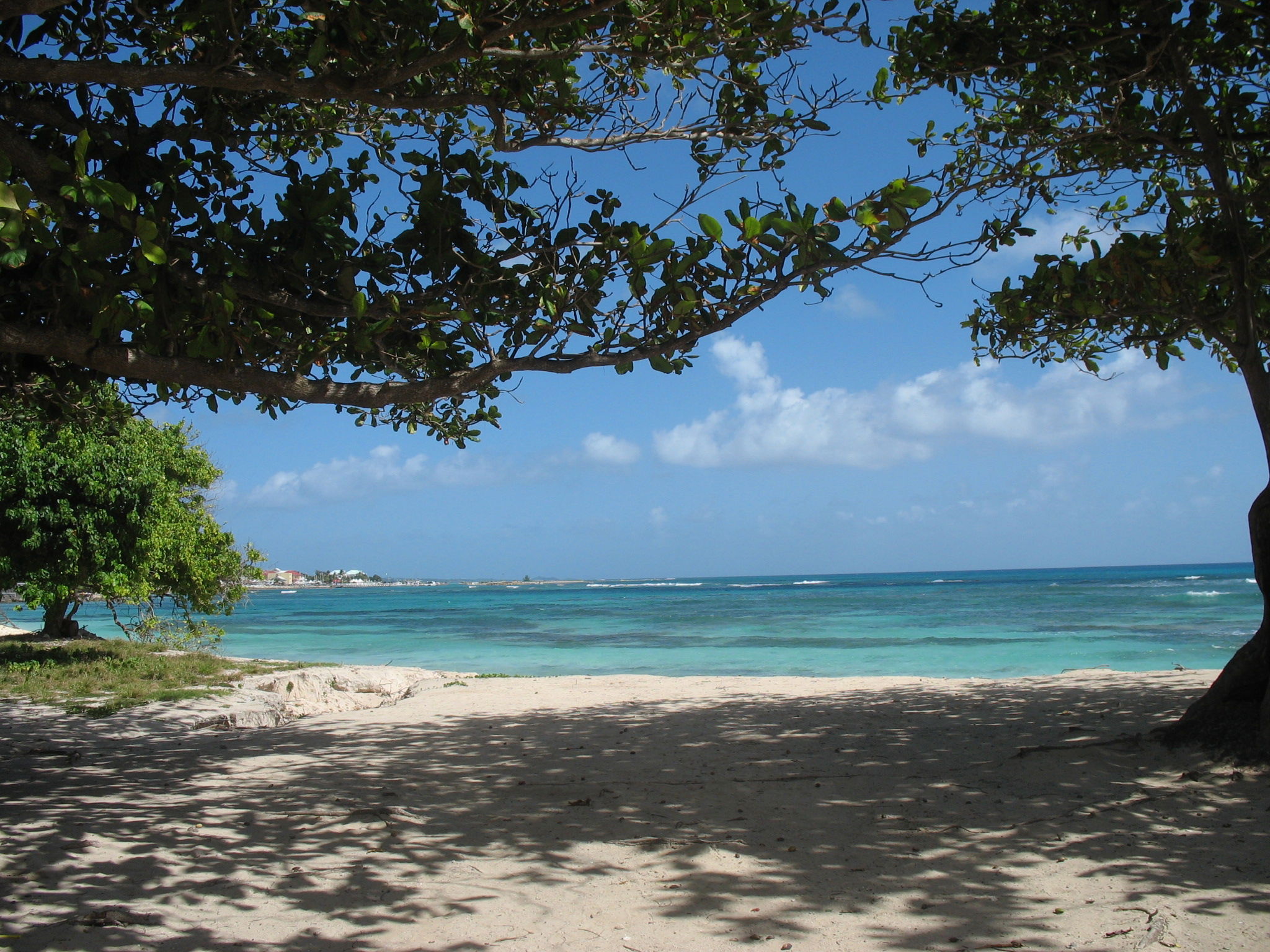 Playa de Raisins Clairs, por claire