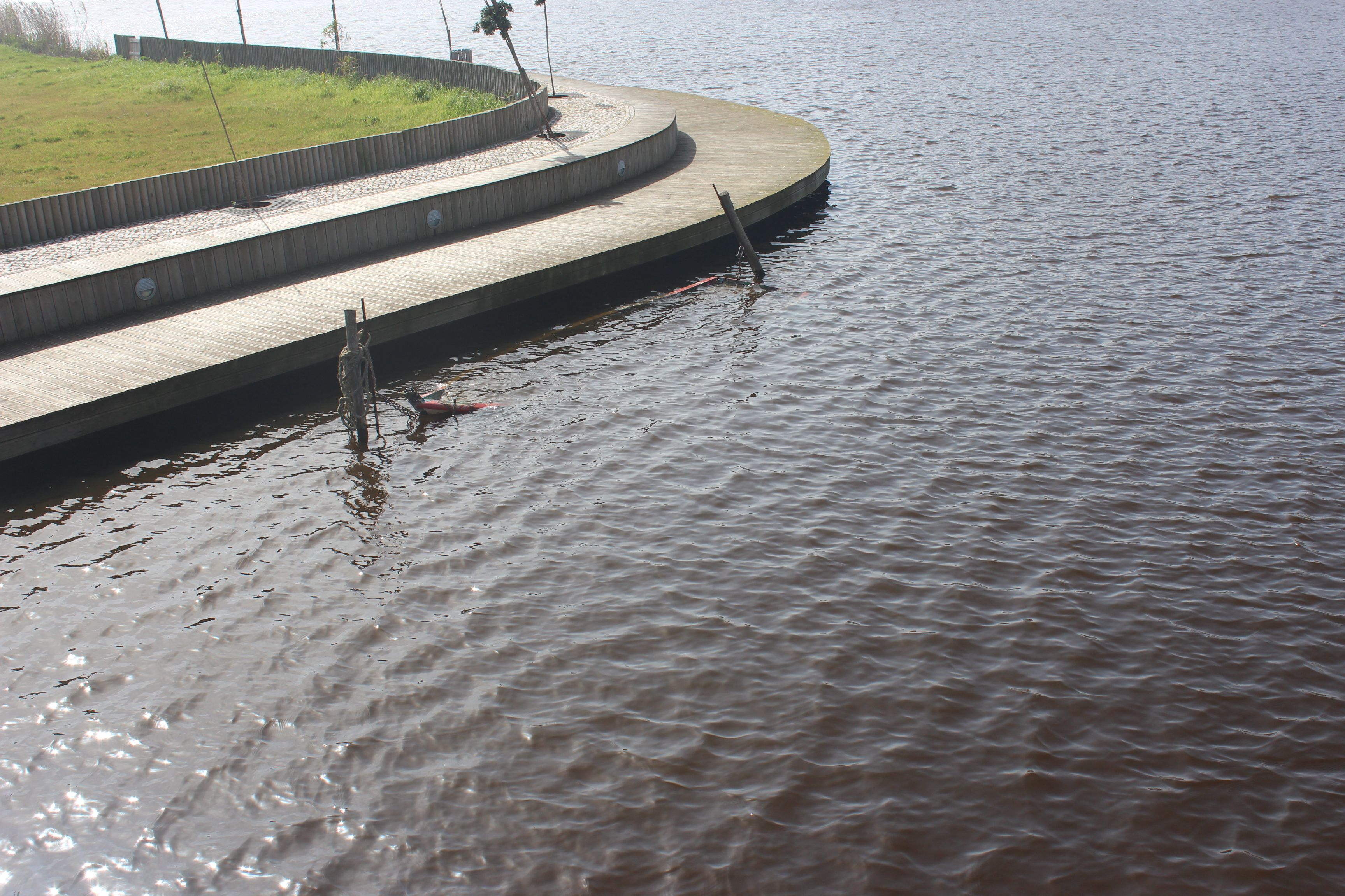 Lagoa da Barrinha, por Patrícia Veludo