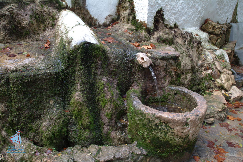 Nacimiento de Cuevas del Becerro, por marian sánchez