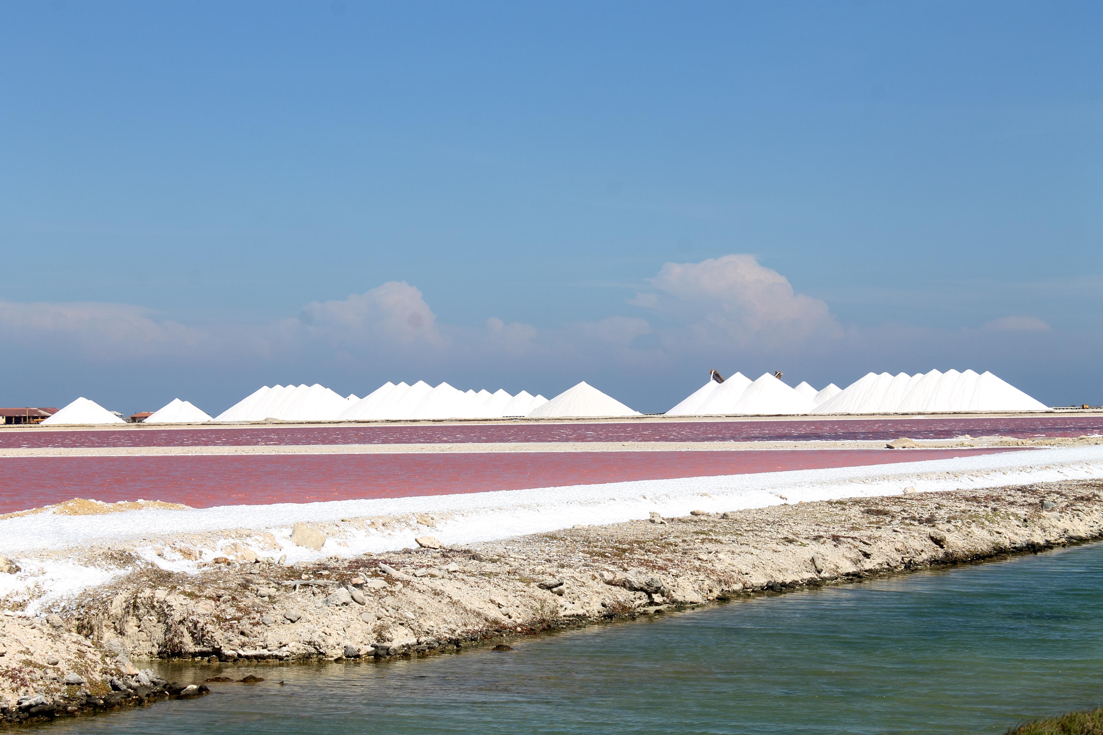 Salinas de Bonaire, por Erika Paz