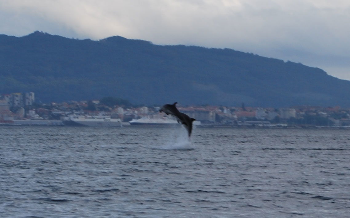 Ría de Vigo, por Christian Sánchez
