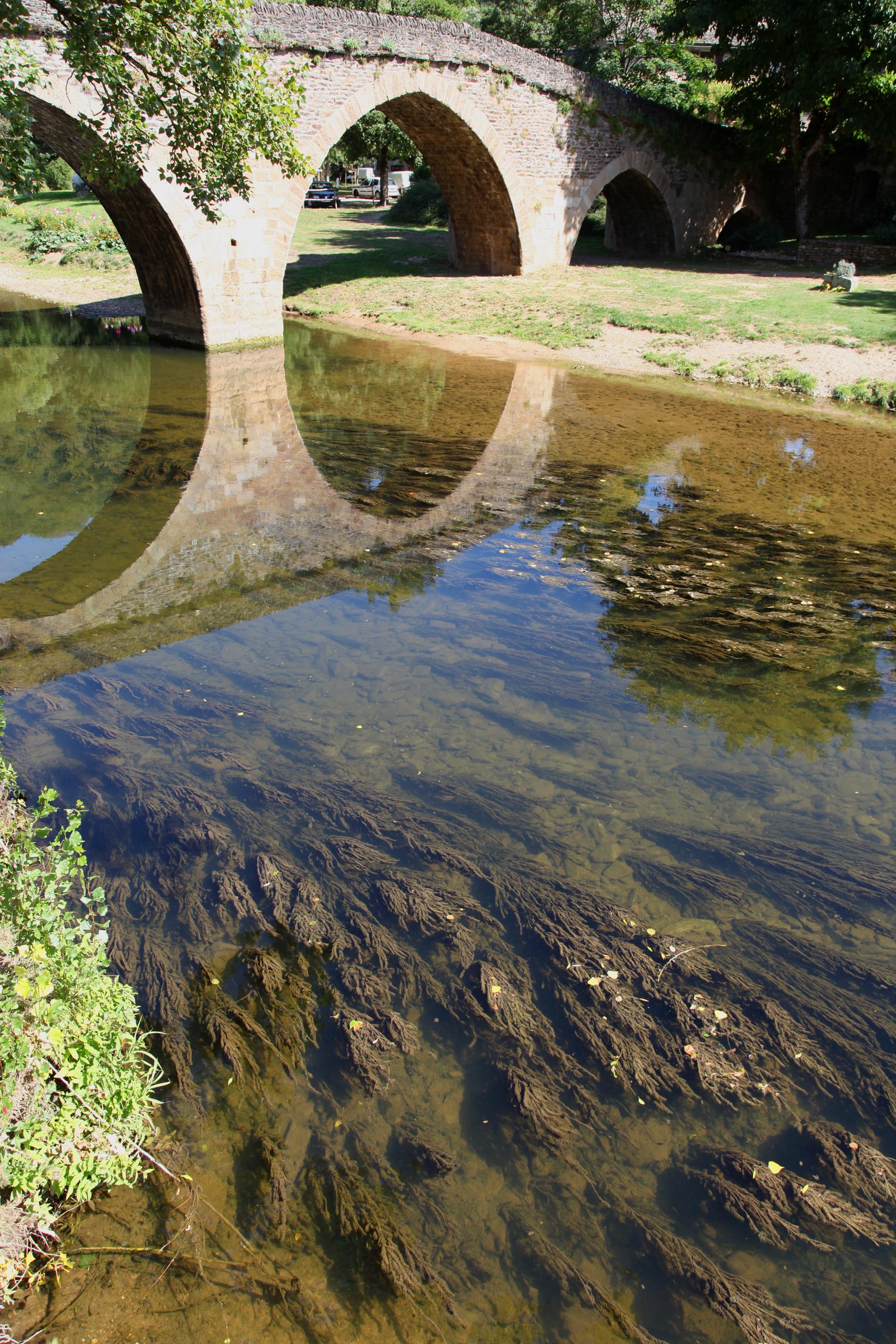 Puente de Belcastel, por GERARD DECQ