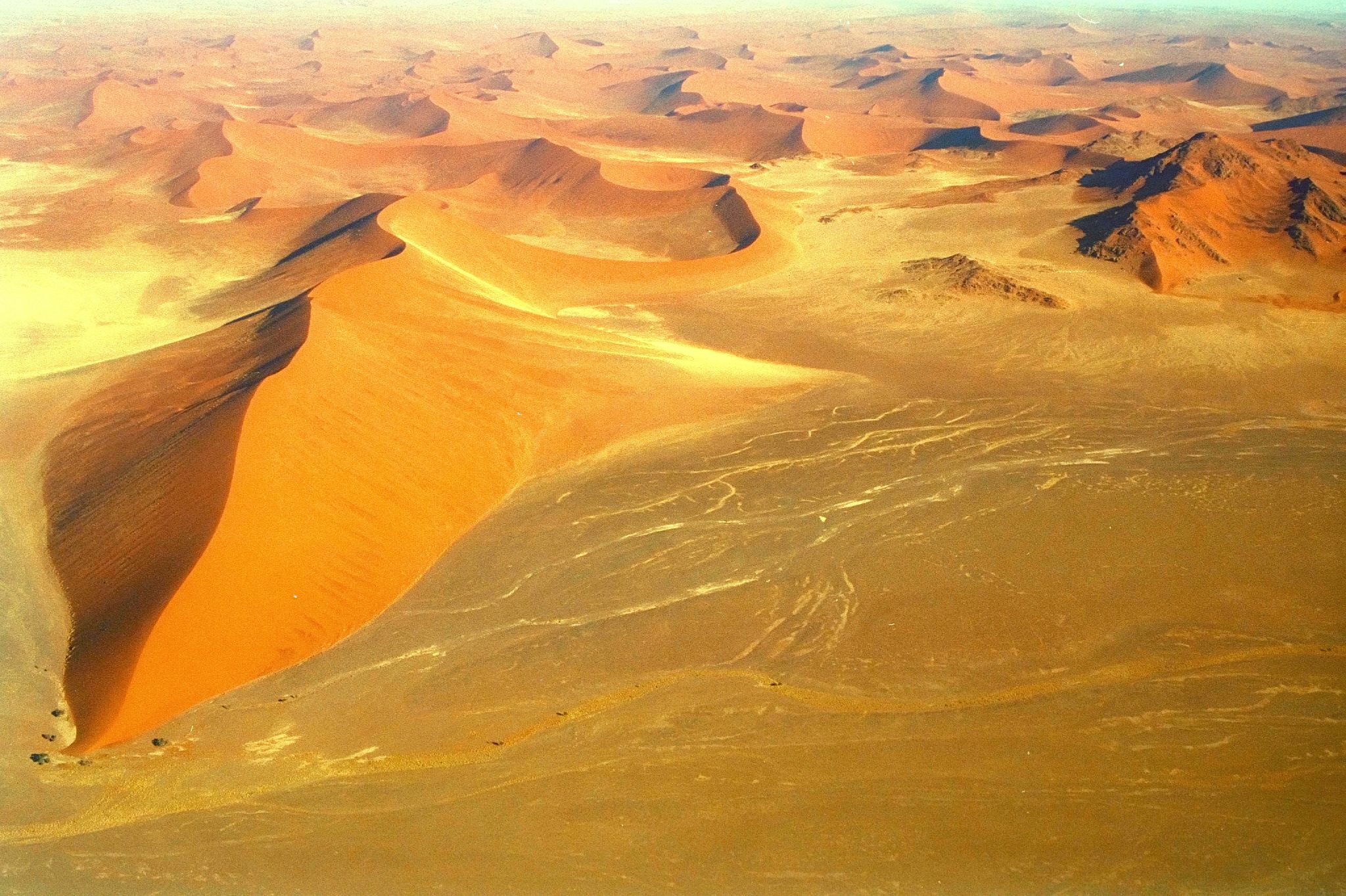 Costa de los Esqueletos, por Alfonso Navarro Táppero