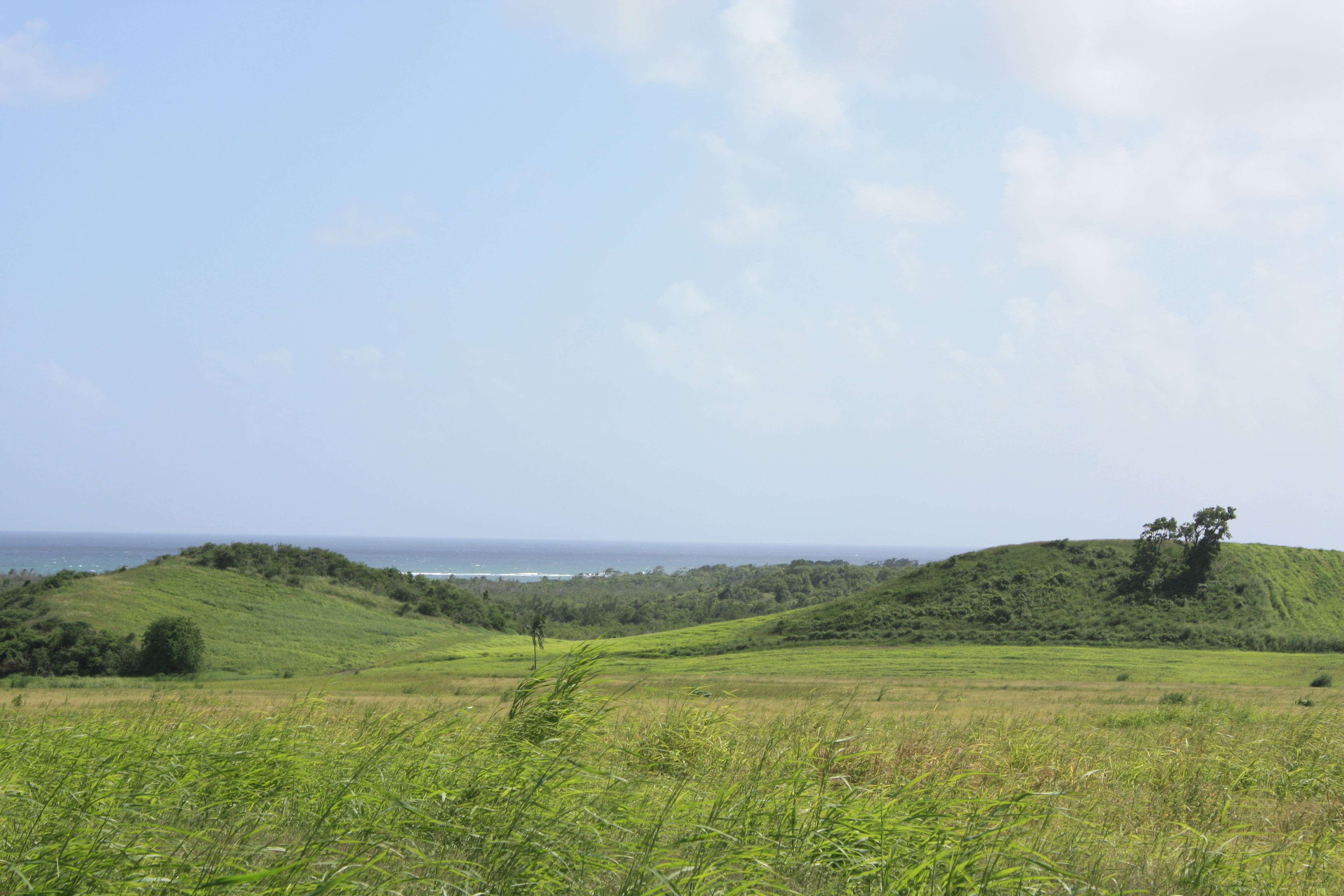 Camino Anse Trabaud, por sandydidi