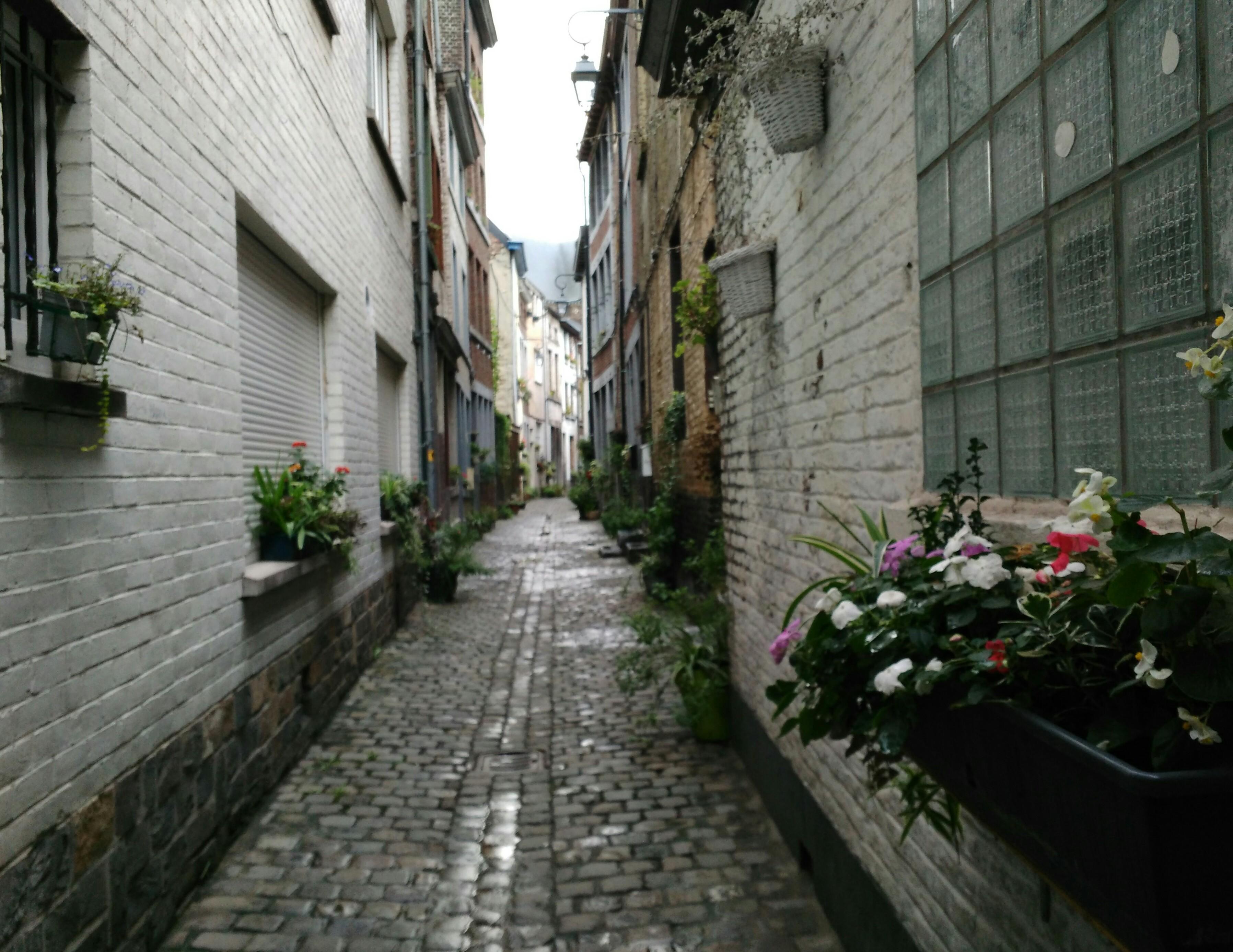 Rue Beauregard, por Dónde vamos Eva