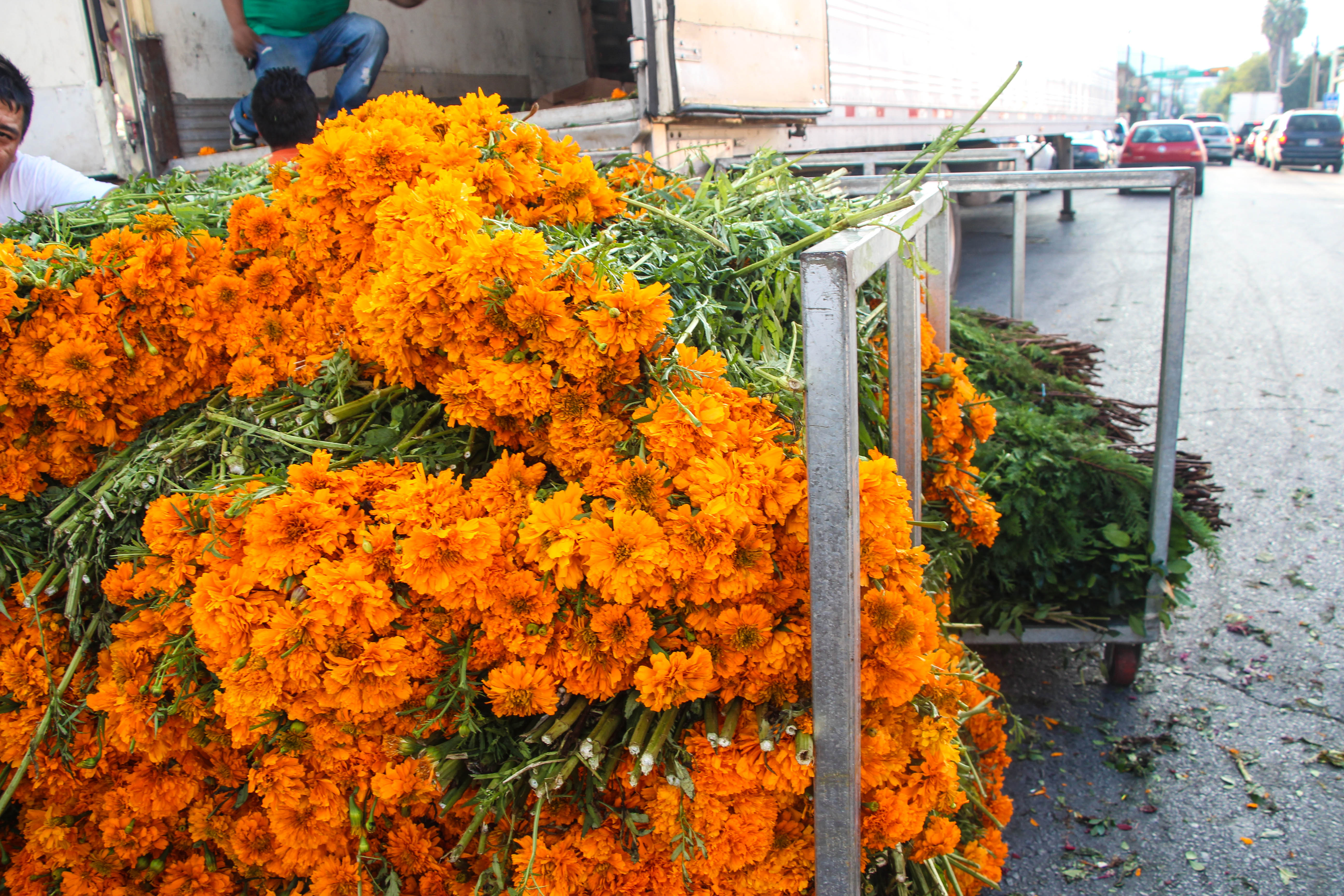 Valy Floristería, por Diana Patricia Montemayor Flores