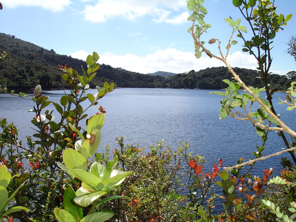 Parque Natural el Cañal, por Jose Nayid Raba Agudelo