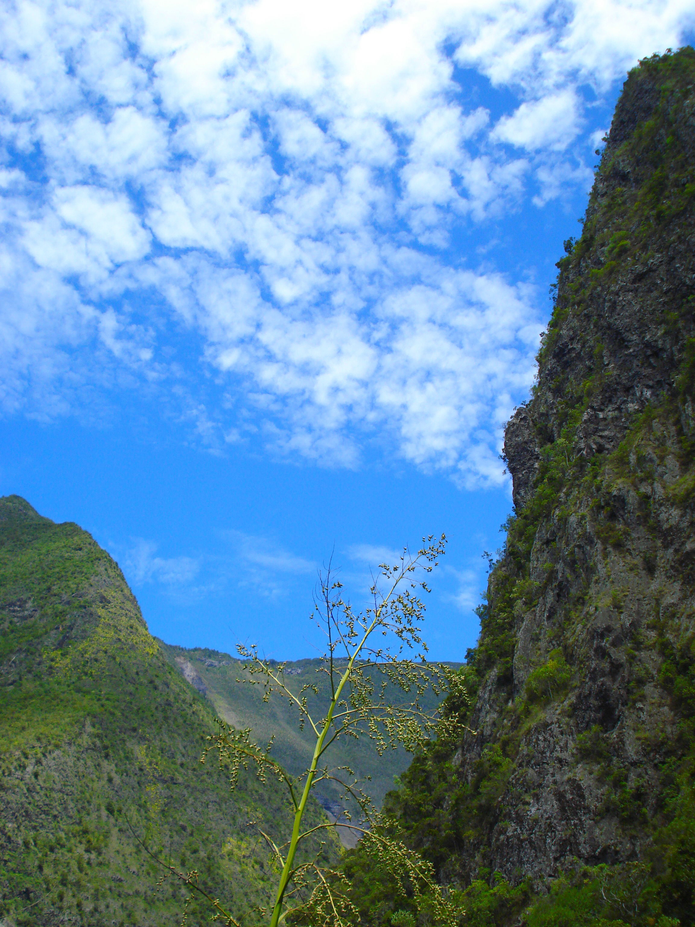 Grand Bassin, por Anais LANDRY