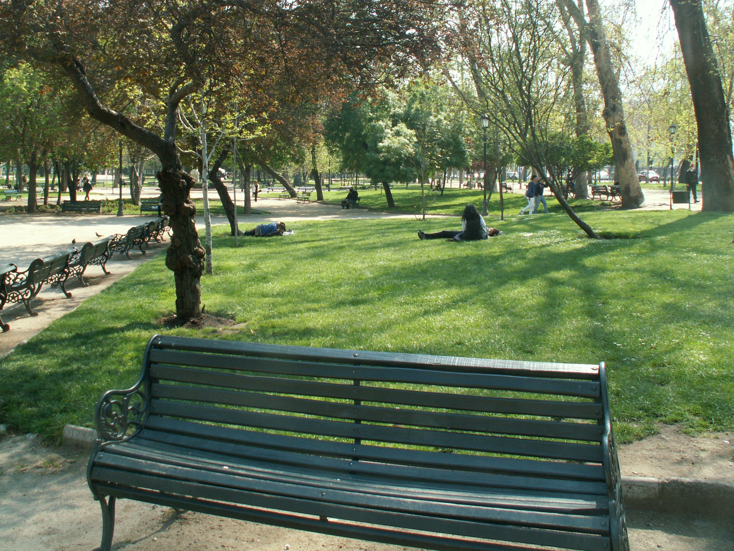 Parque forestal, sector Bellas Artes, por Marine Castell