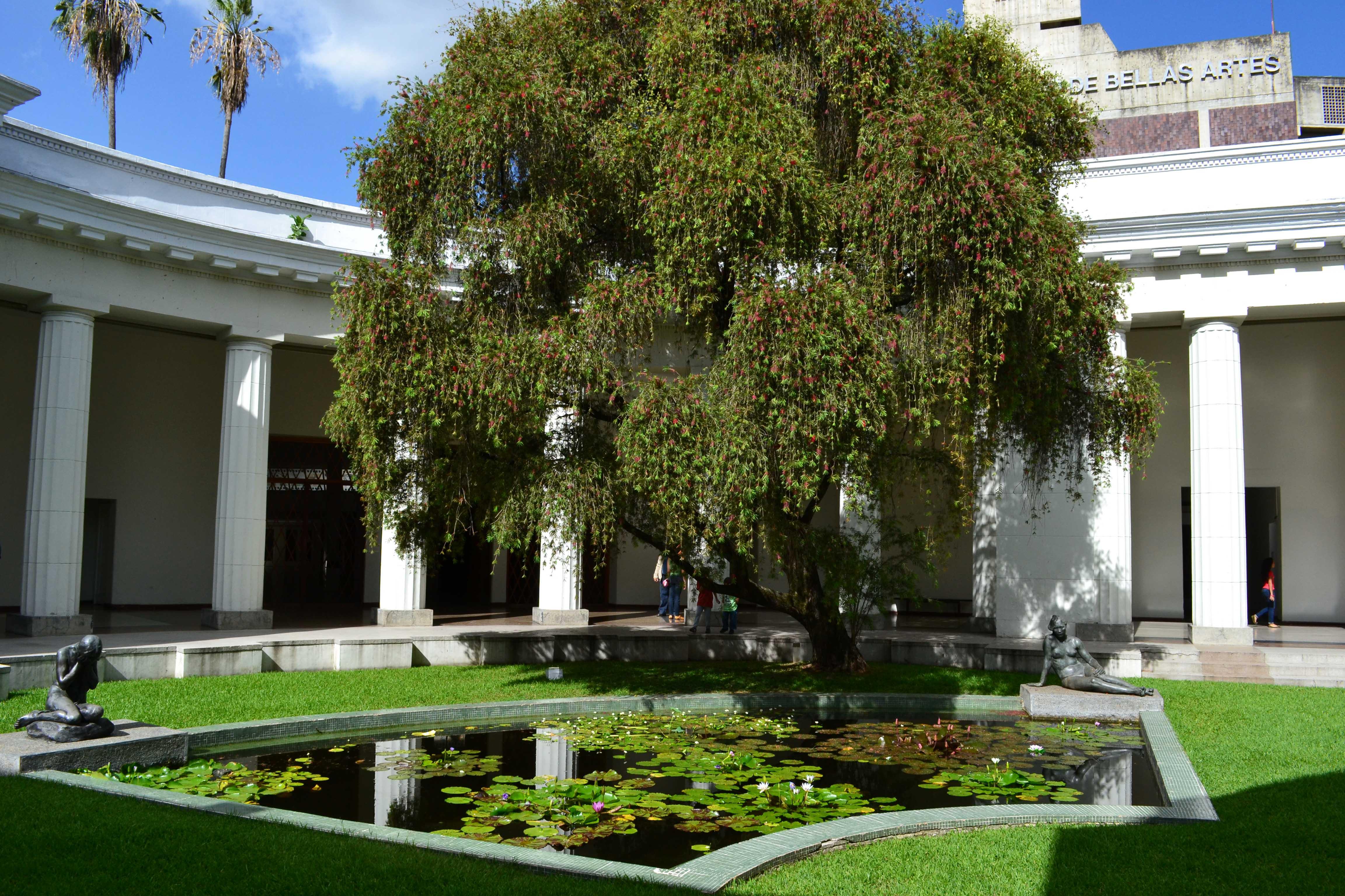 Jardín del Museo de Ciencias, por Adriana Herrera