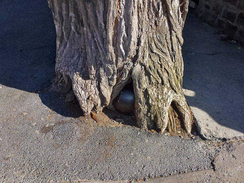 Bala de cañón en el árbol, por Luise GP