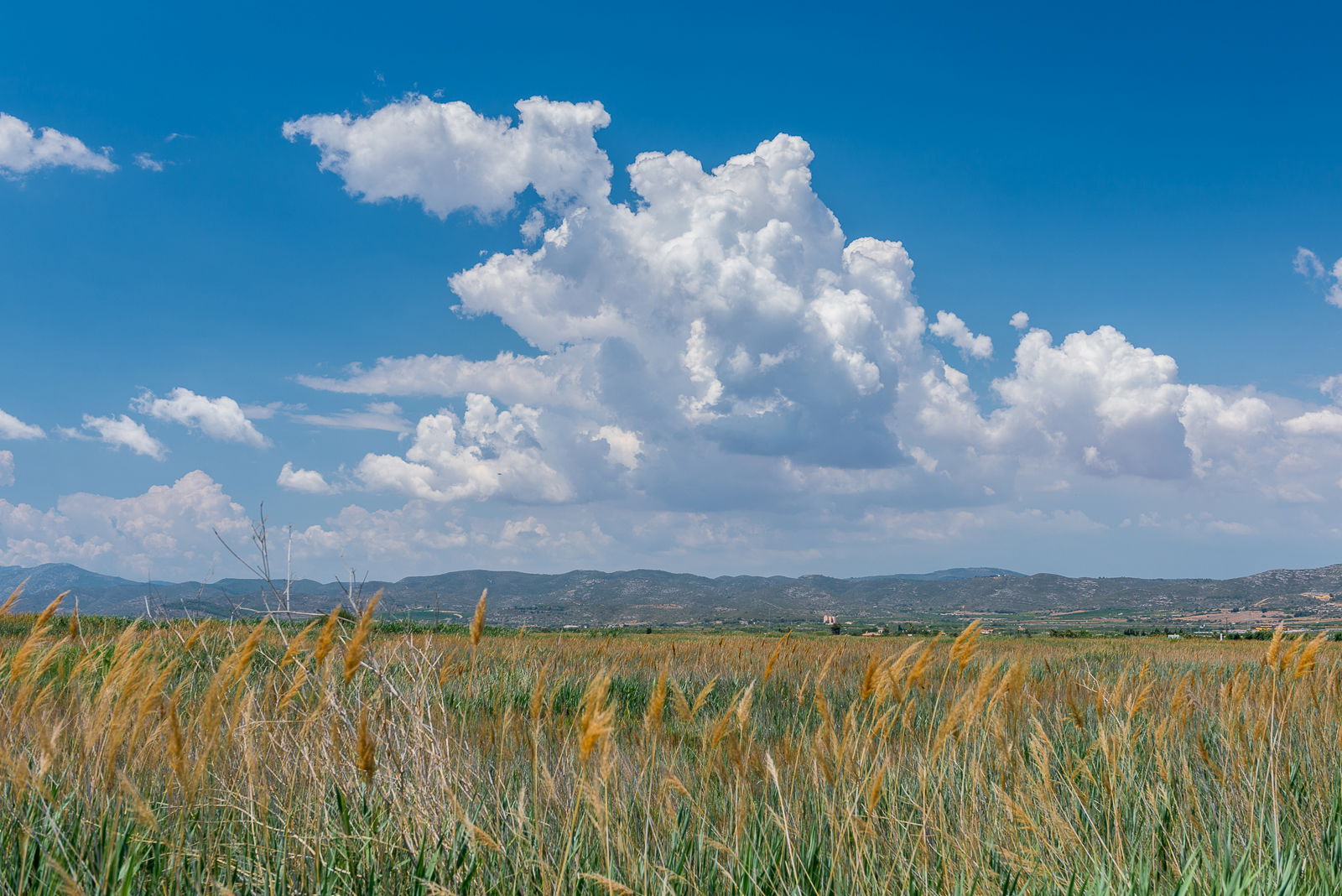 Senderismo en Costa Brava: descubre rutas cautivadoras entre paisajes únicos