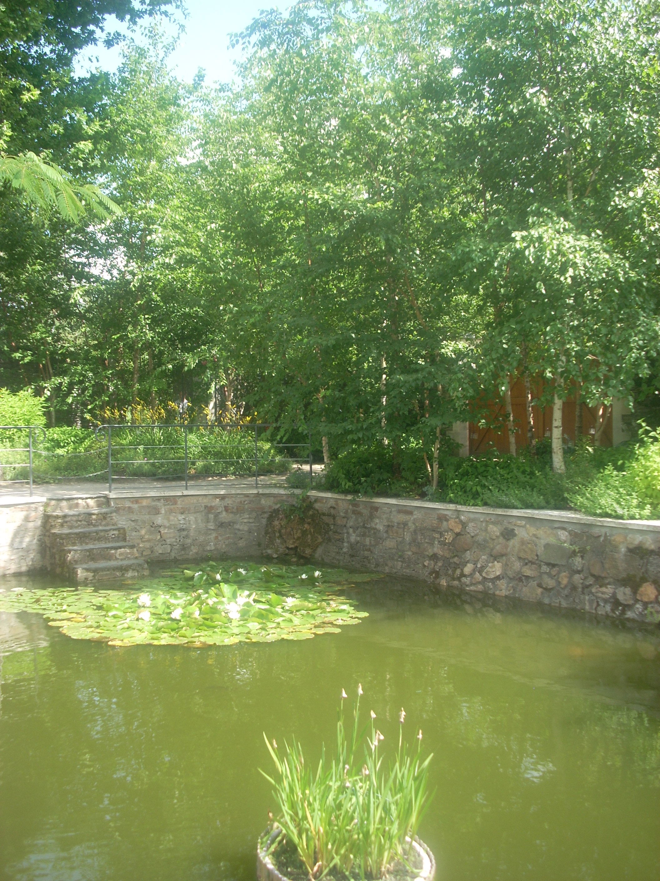 Arboretum, por Anne Robillard