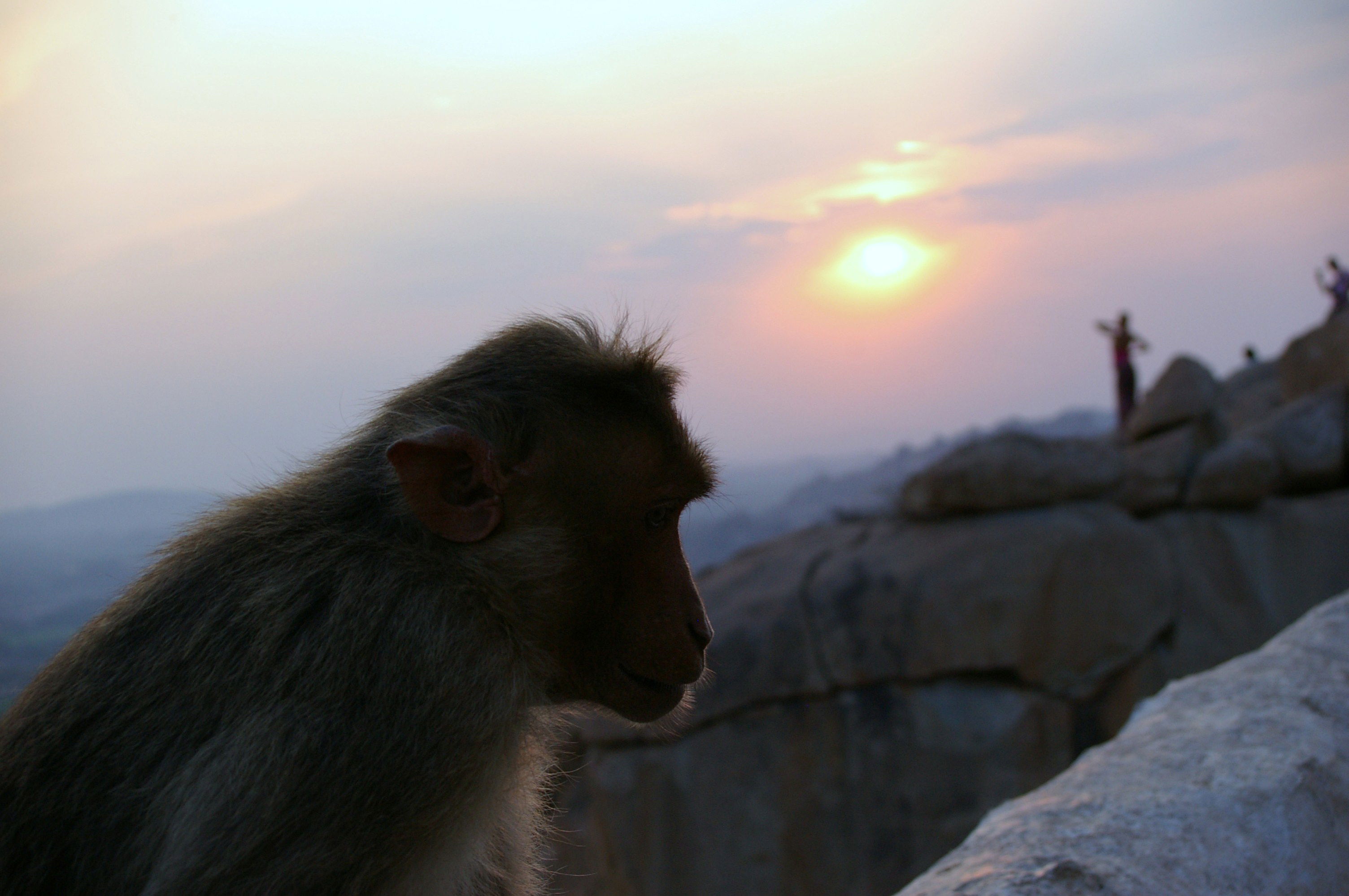 Hampi, por Marc Galí Llavet