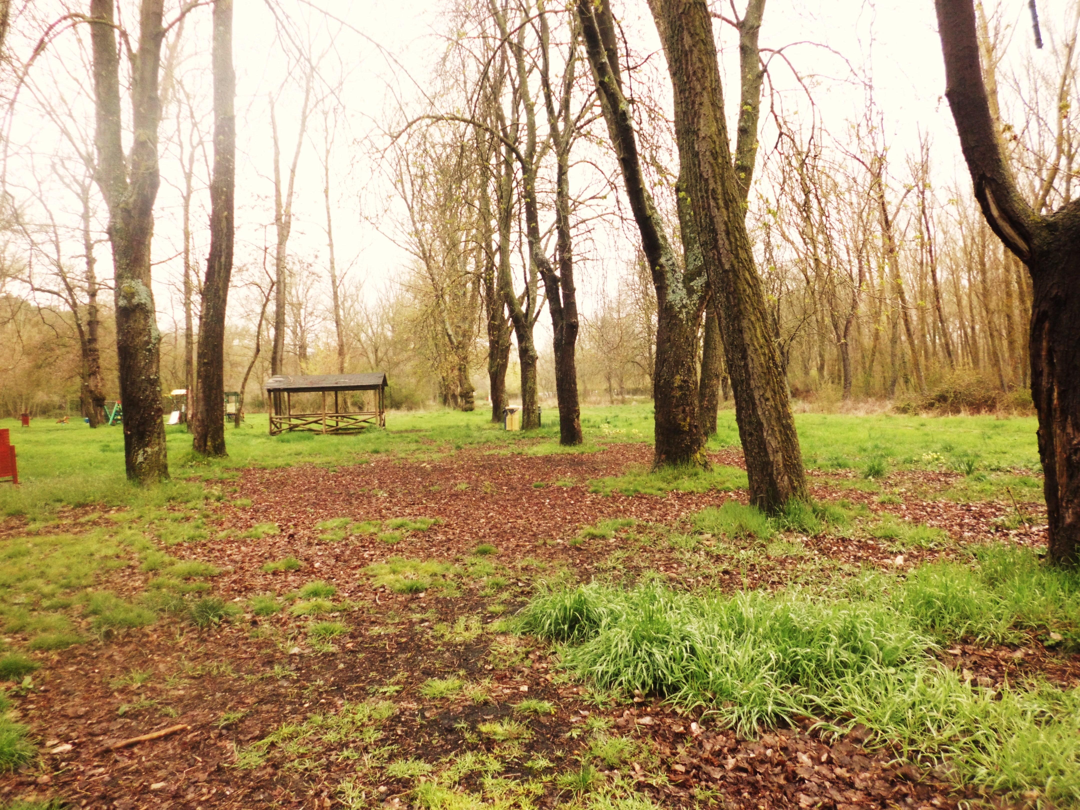 Parque de Fuentes Blancas, por Silvia del Moral
