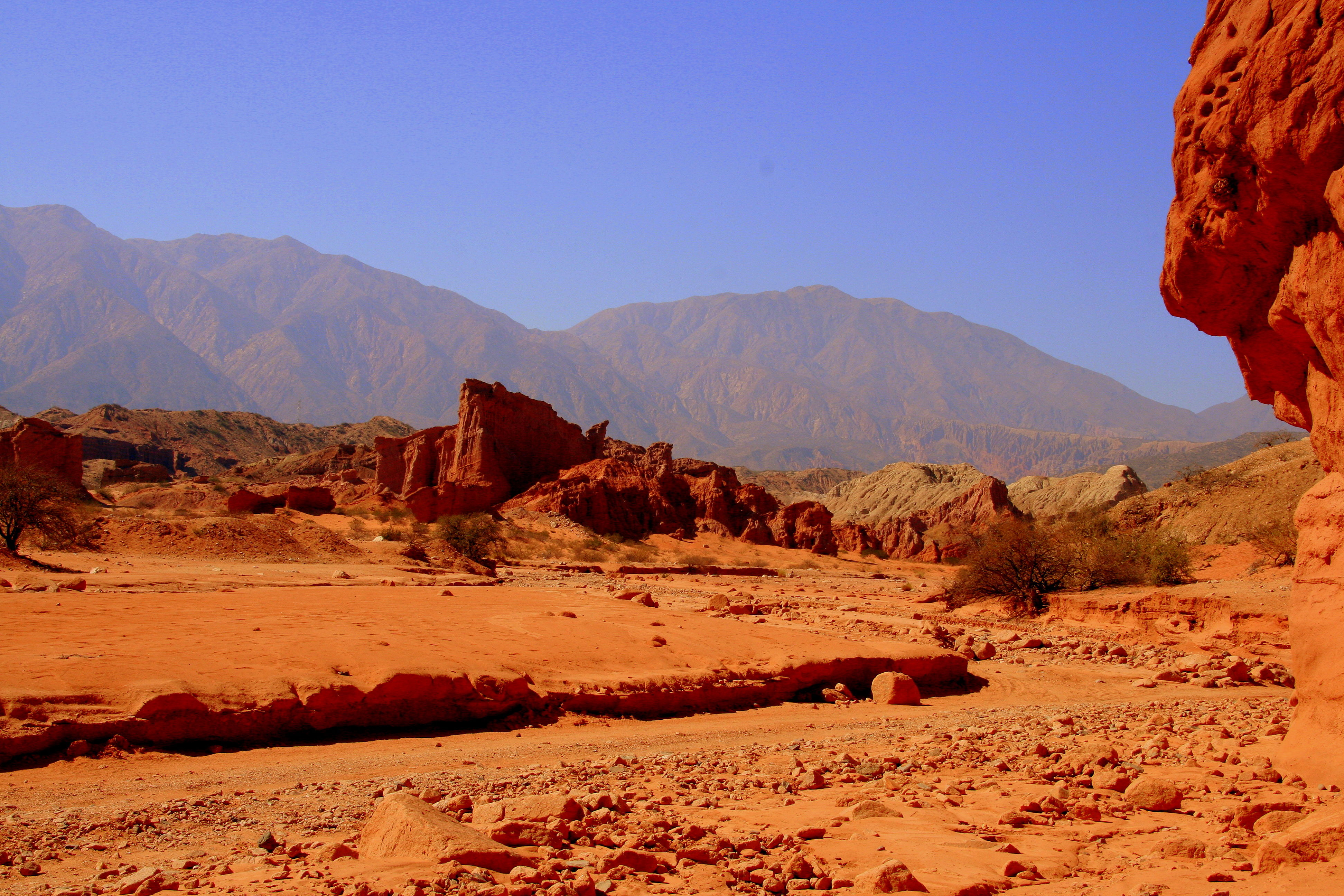 Salta, por Paola Faltracco